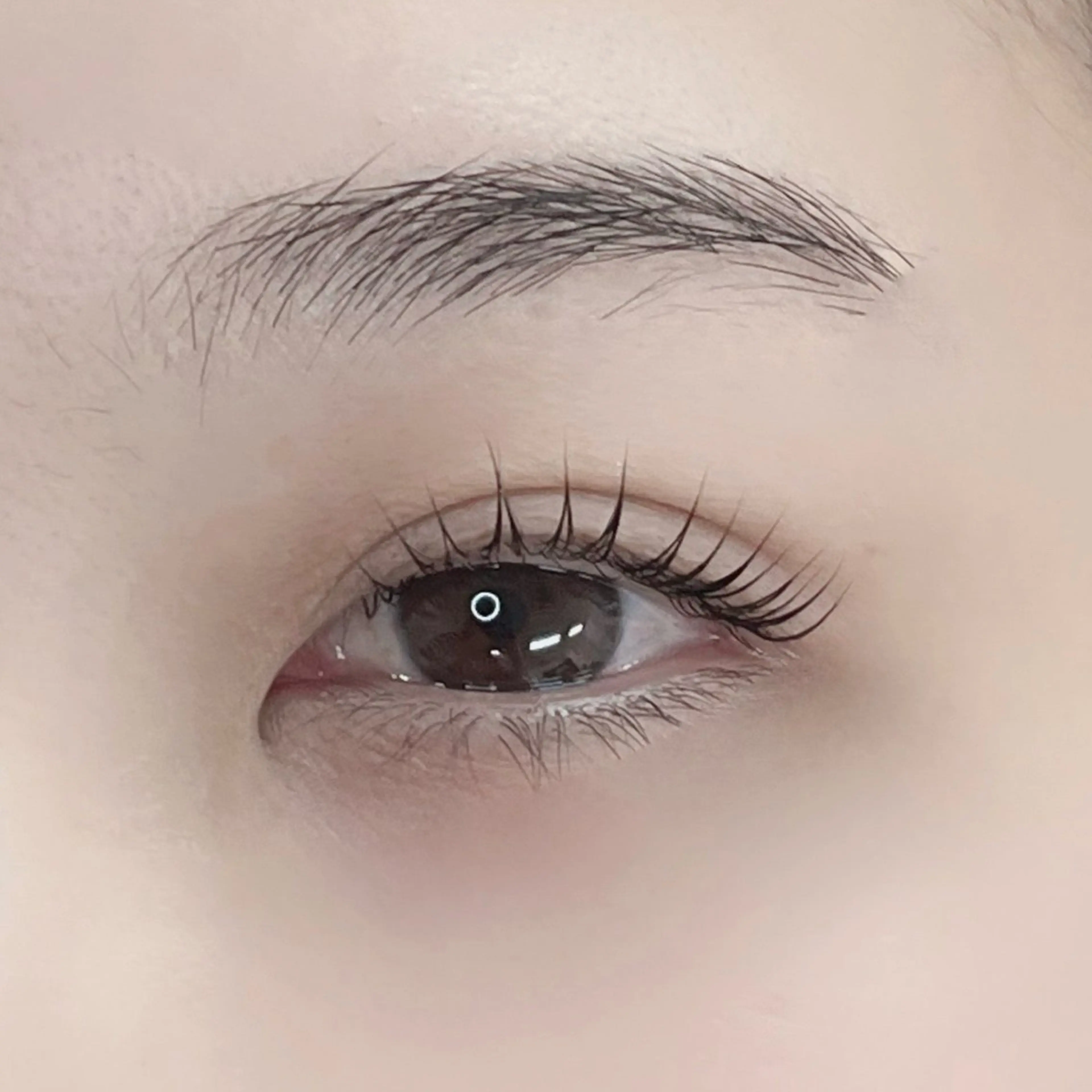 🫧まつげパーマ & 眉wax脱毛🫧¥11000❥・・¥7700✨️の写真