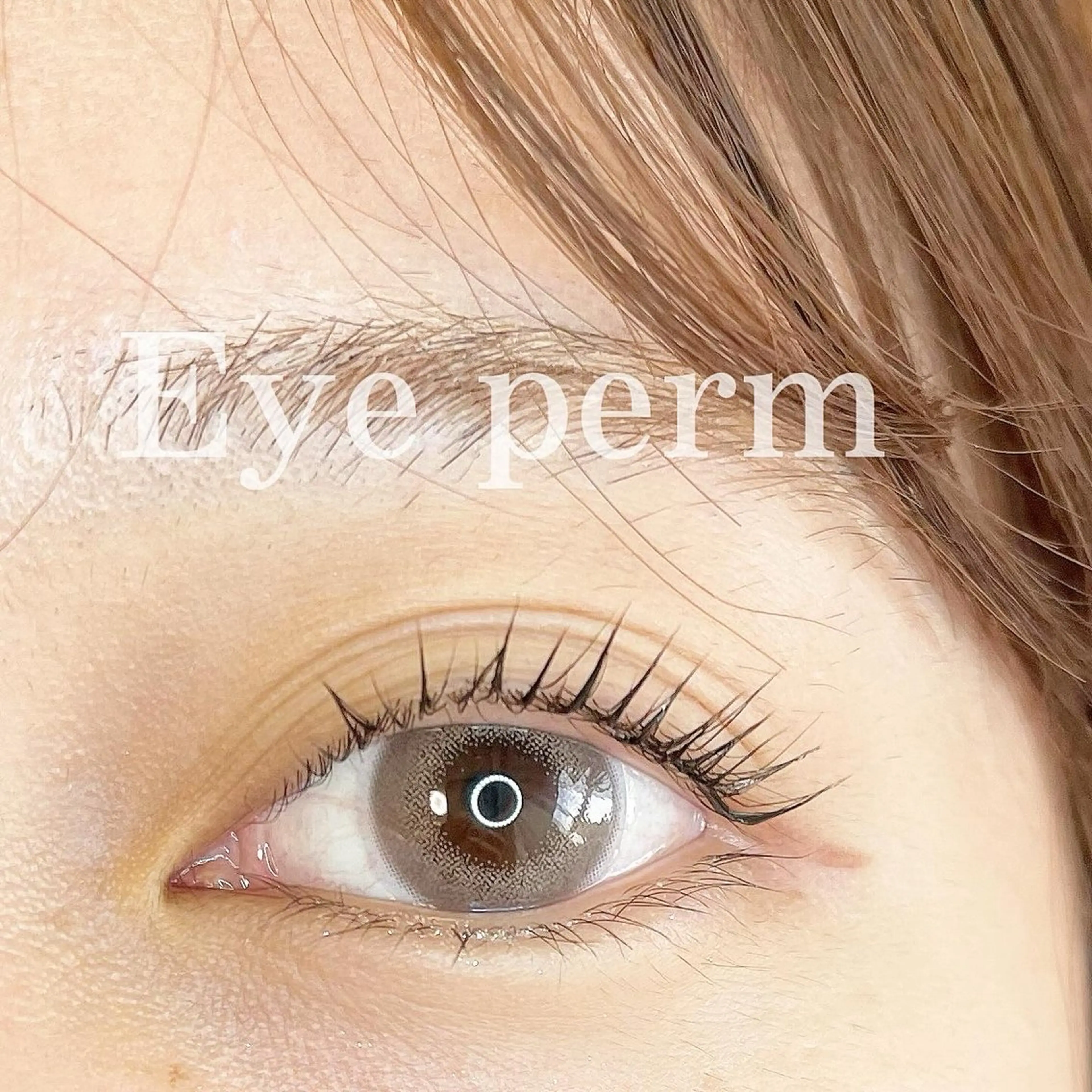 マツエク・マツパ Swallow 広島店のマツエク・マツパデザイン