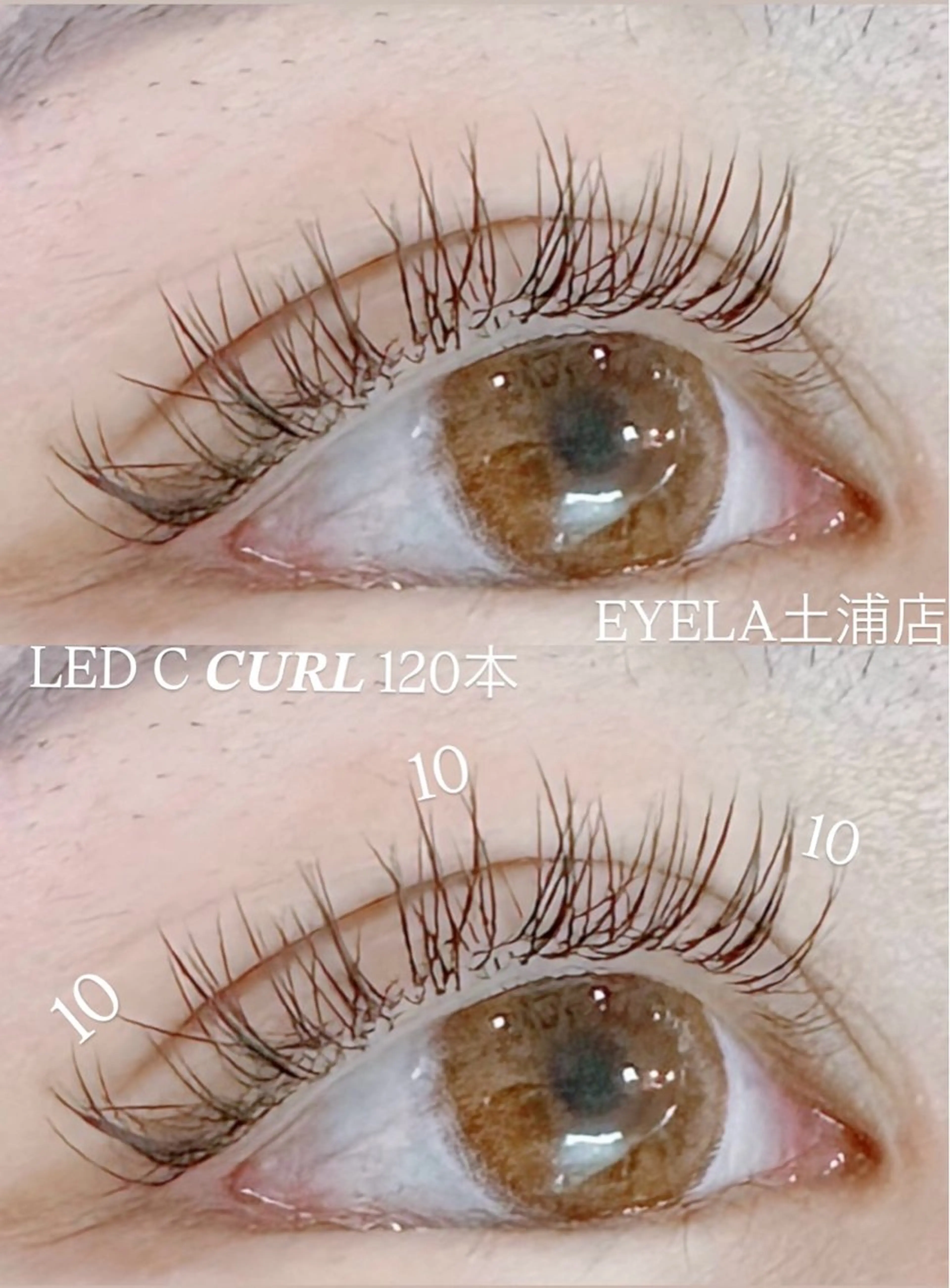 マツエク・マツパ フラットラッシュ EYELA 土浦店 幕内のマツエク・マツパデザイン