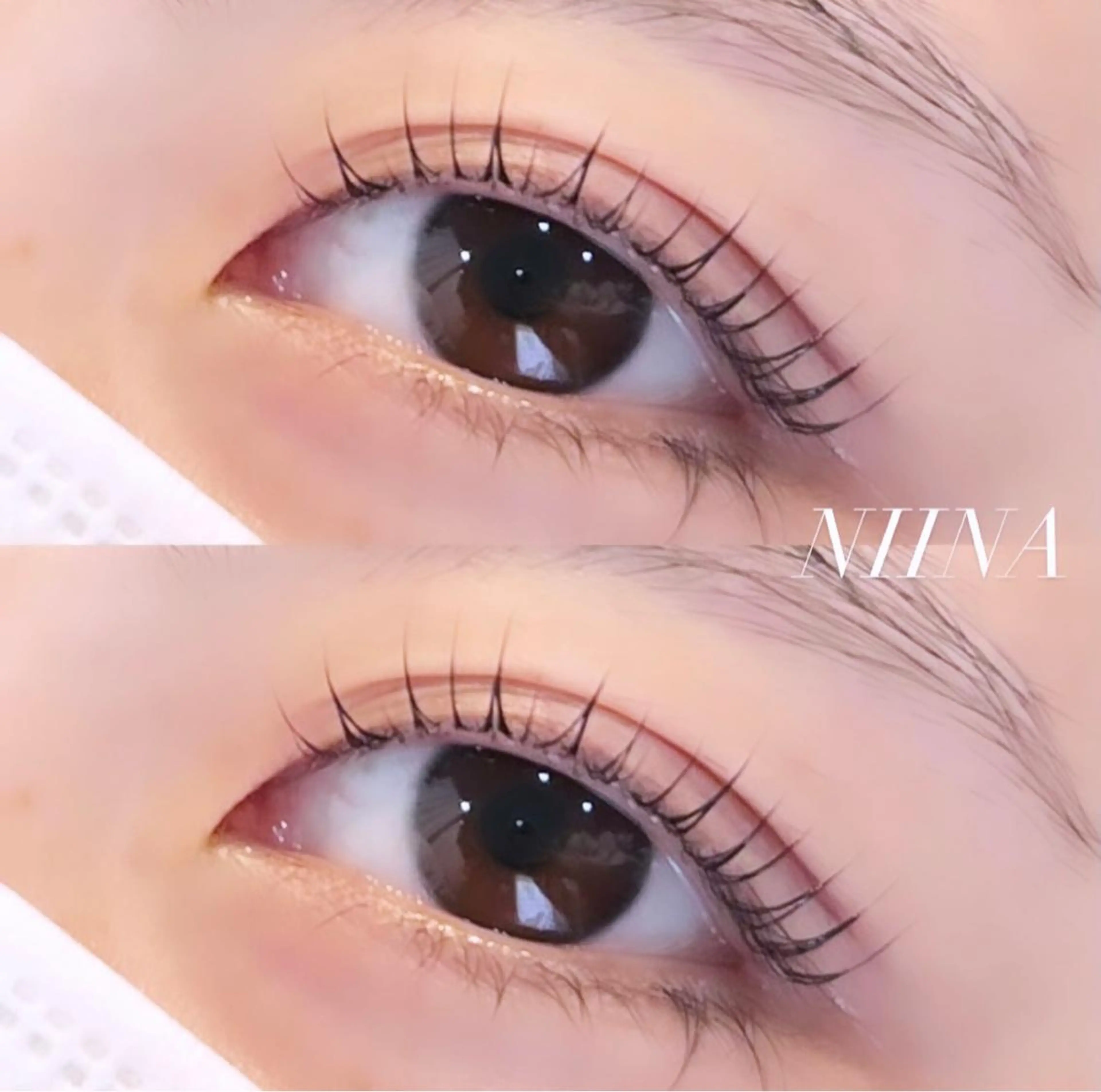 🌹ミニモ限定 オーダーラッシュリフト(上)🌹の写真