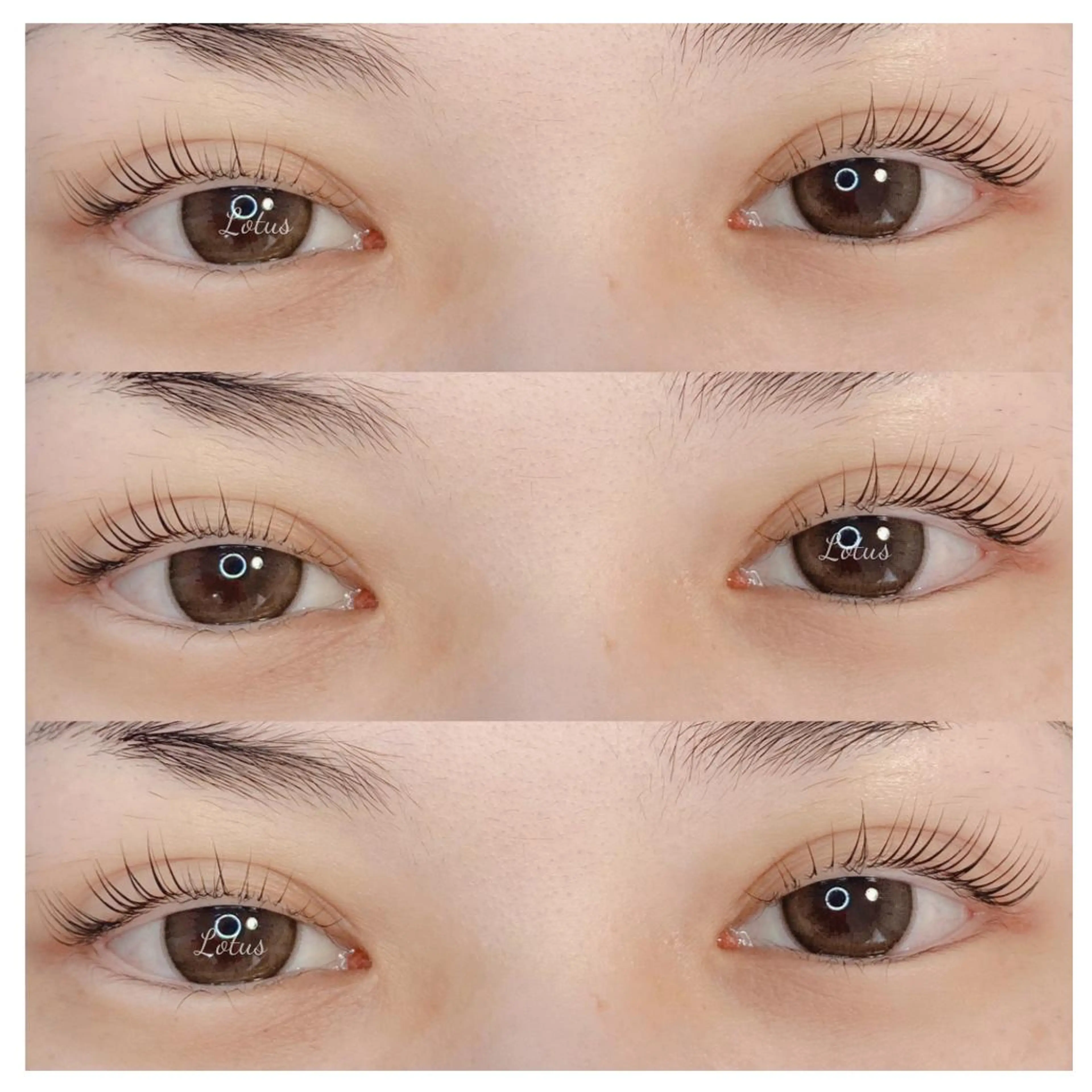 マツエク・マツパ マツパ Lotus所属・Lotus ロータスのマツエク・マツパデザイン