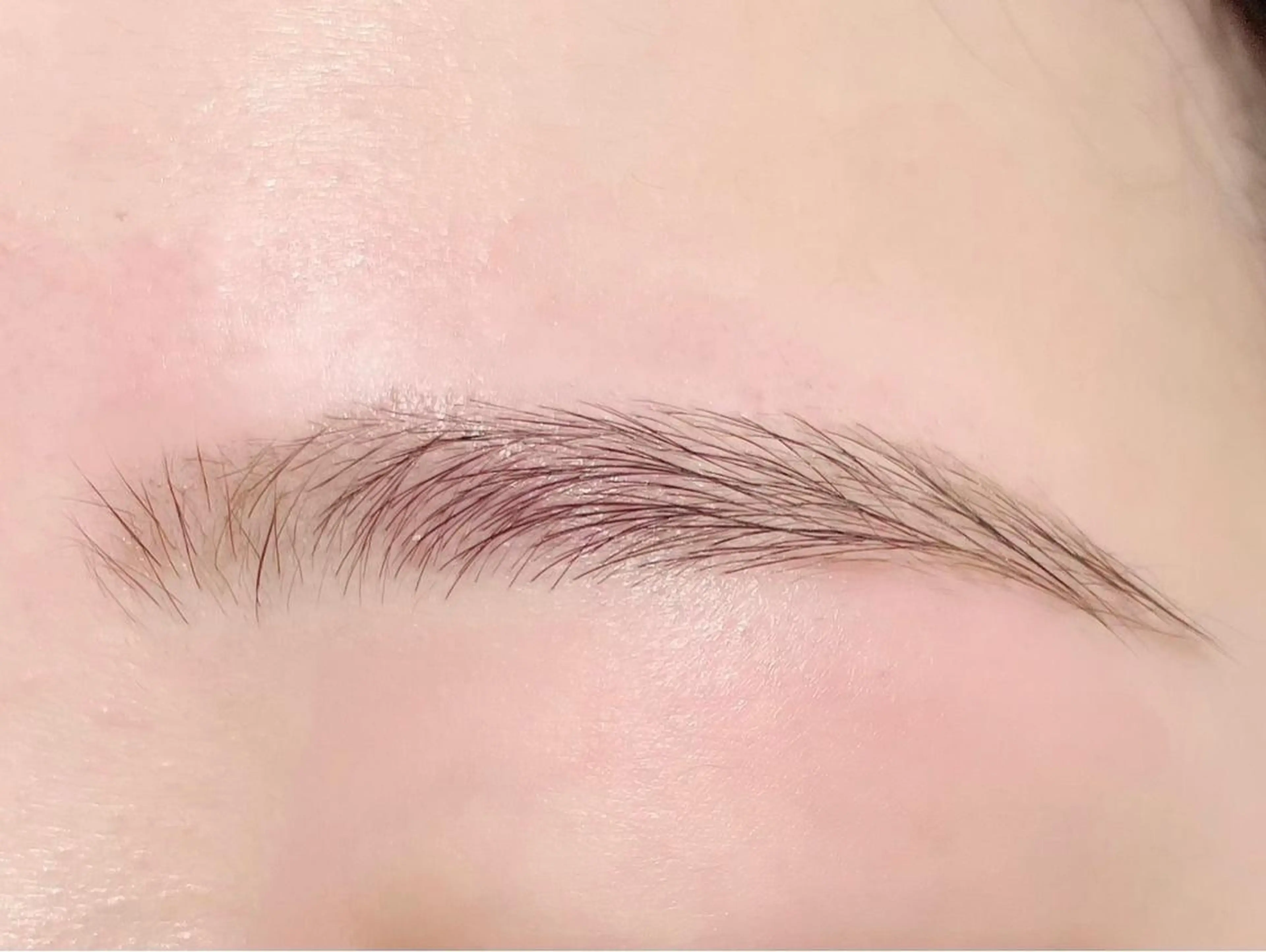 ブロウラミネーション🐋の写真