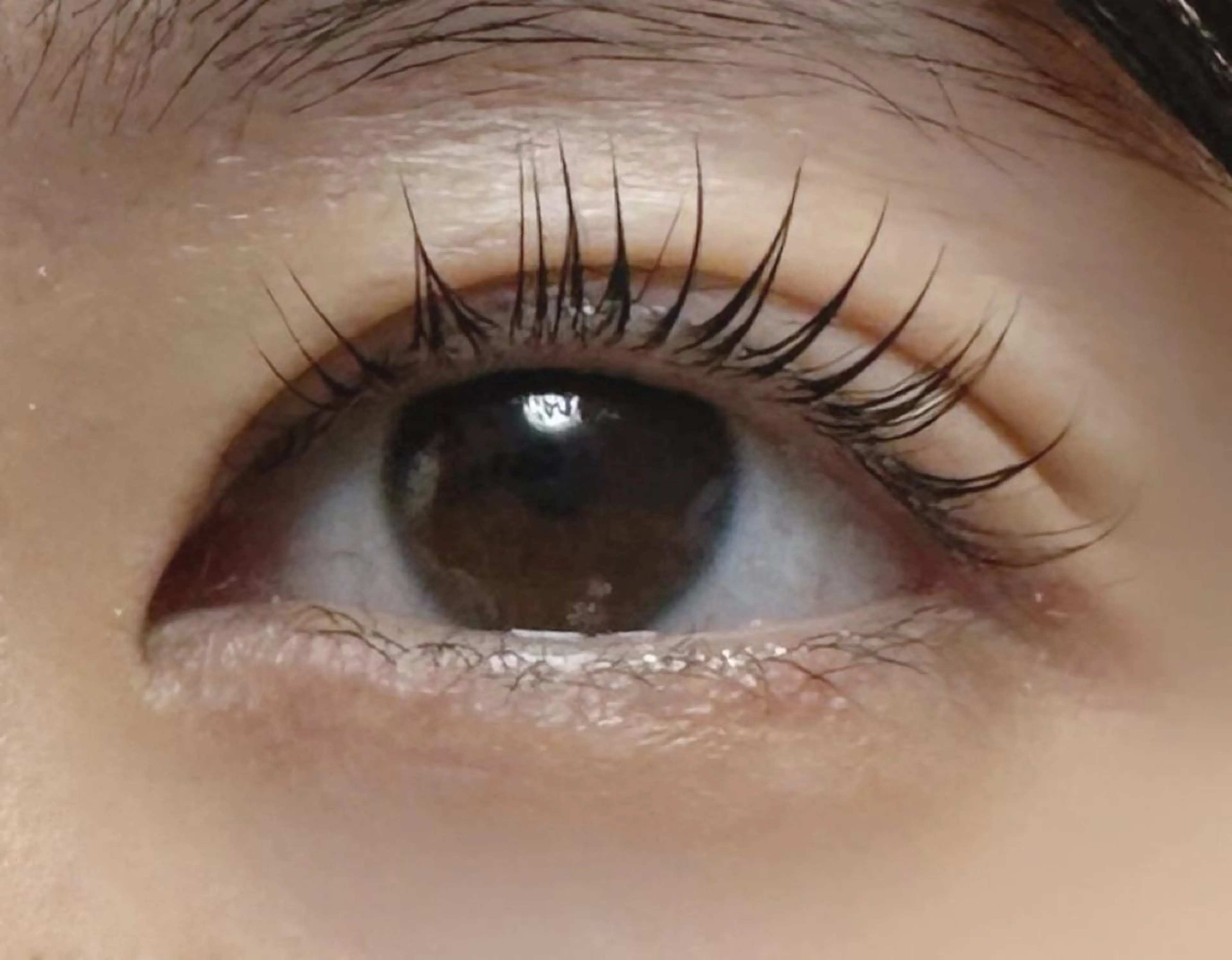 マツエク・マツパ NA NAの眉毛・アイブロウイメージ