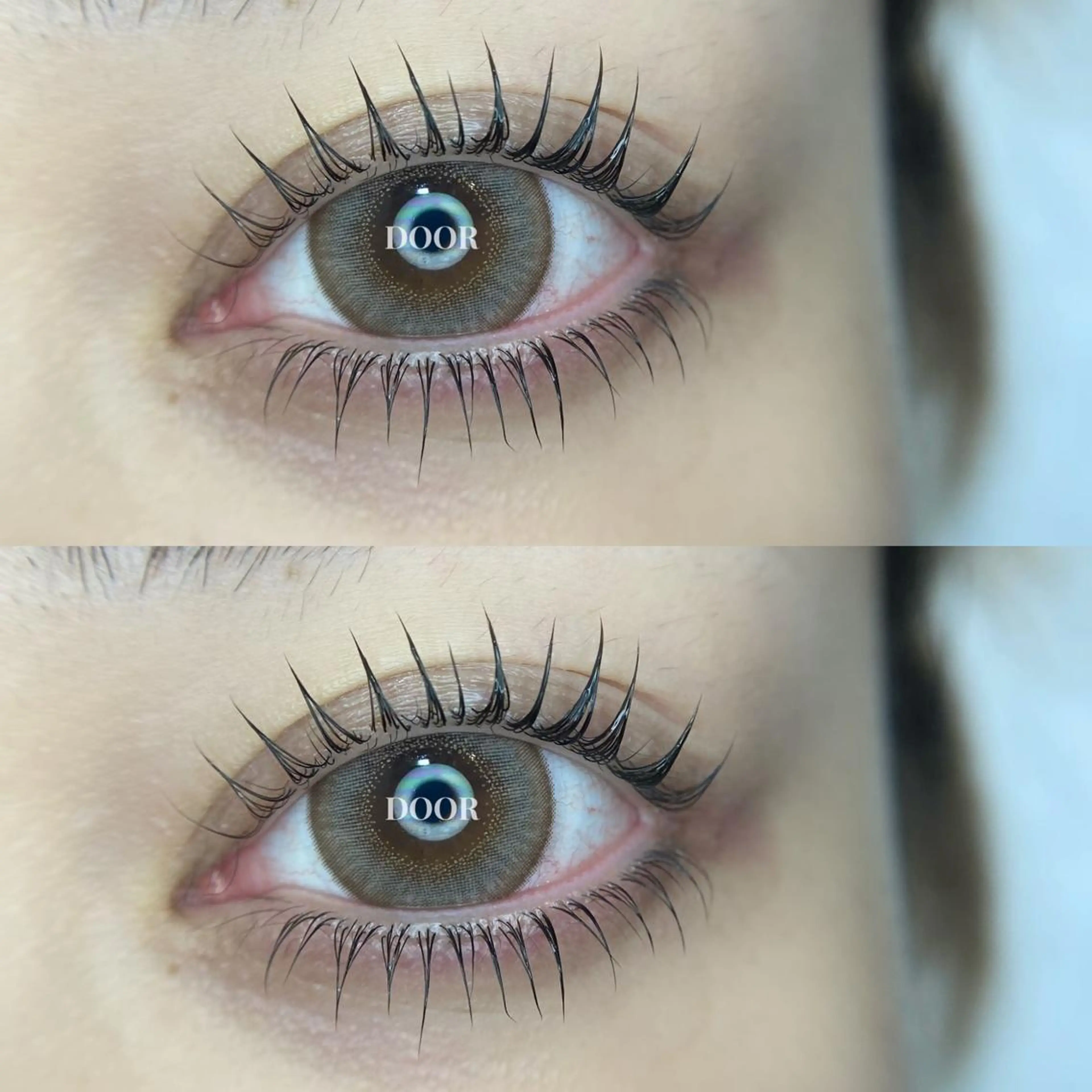 🏷️ 上下まつ毛パーマ【 コーティング➕美容液➕アイシャンプー仕上げ🧴🤍】の写真