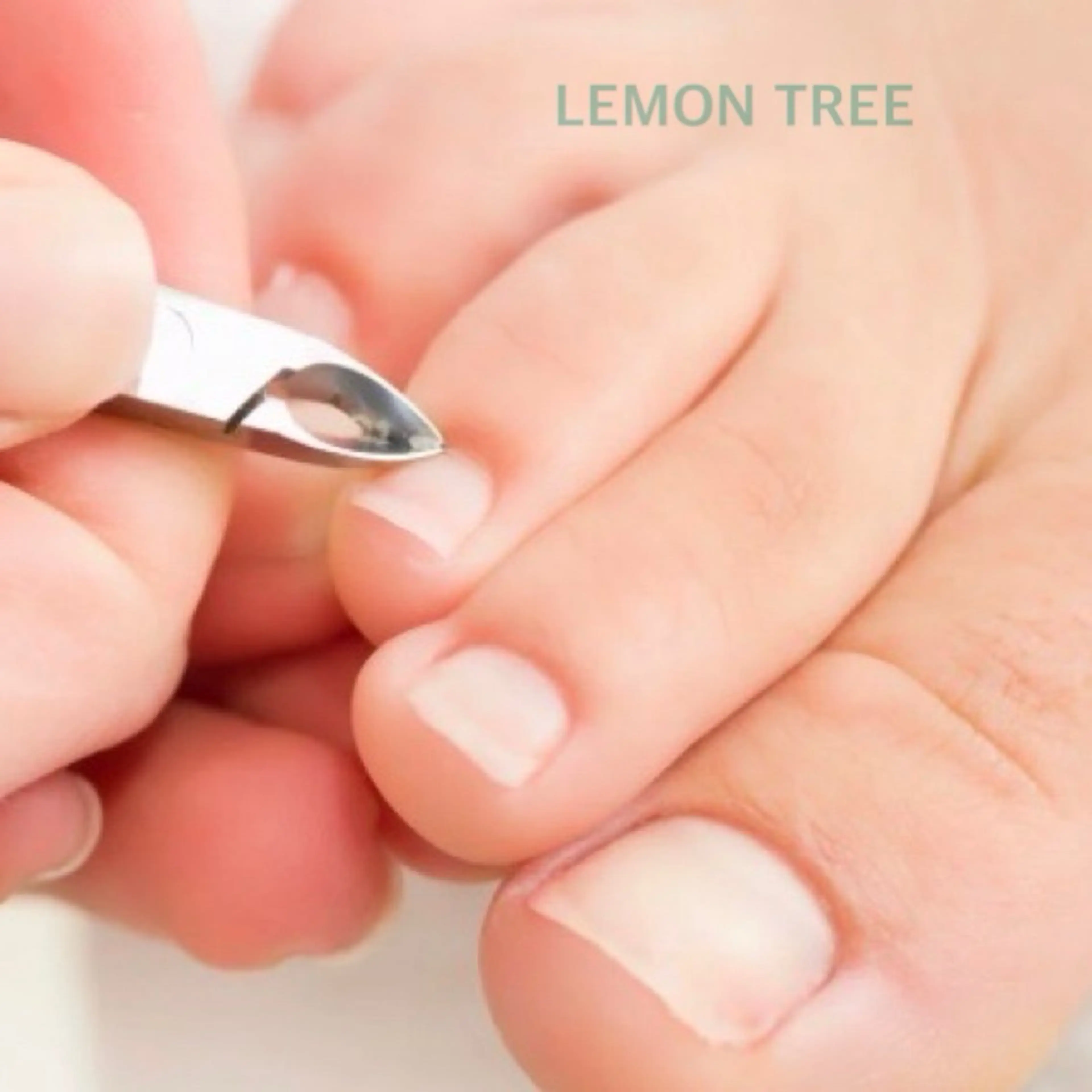 ネイル NailLab LEMONTREEのネイルデザイン