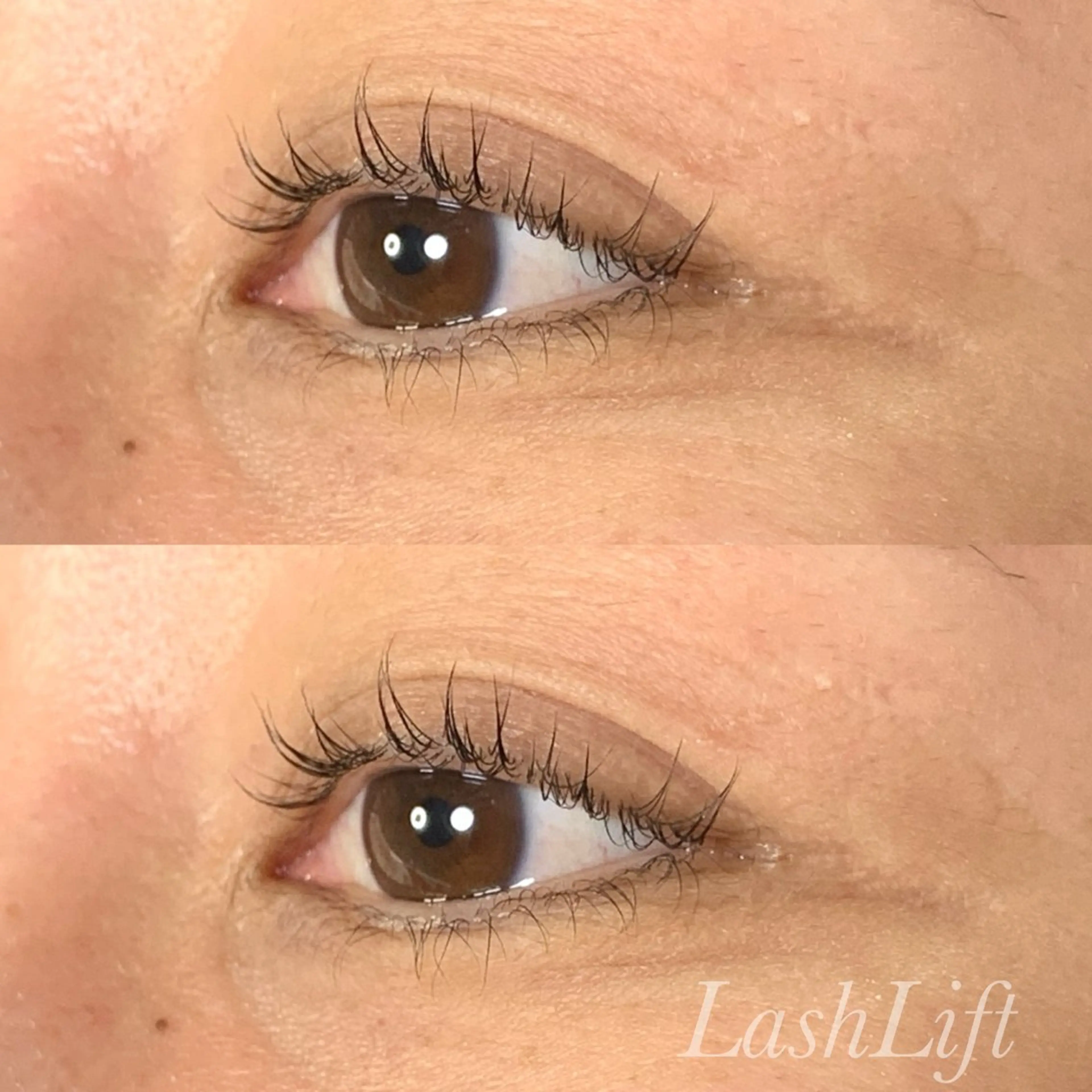 マツエク・マツパ まつげパーマ マツパ Ayumi.pro 🍆N《4階》のマツエク・マツパデザイン