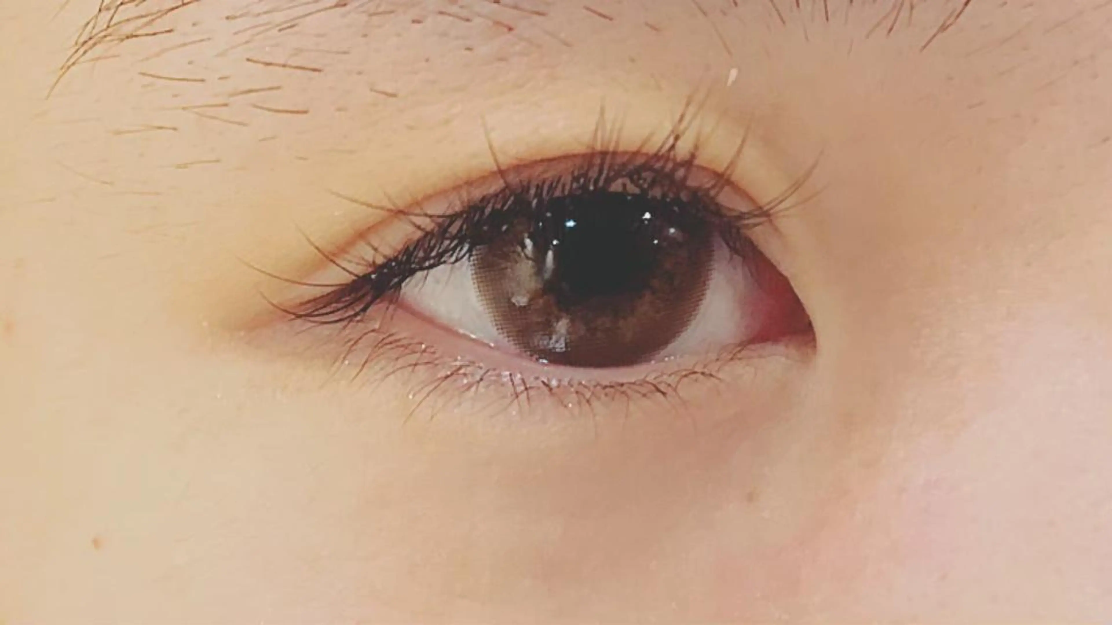 マツエク・マツパ SSINSTUDIO梅田店所属・SSINSTUDIO 🦄towa🦄の眉毛・アイブロウイメージ