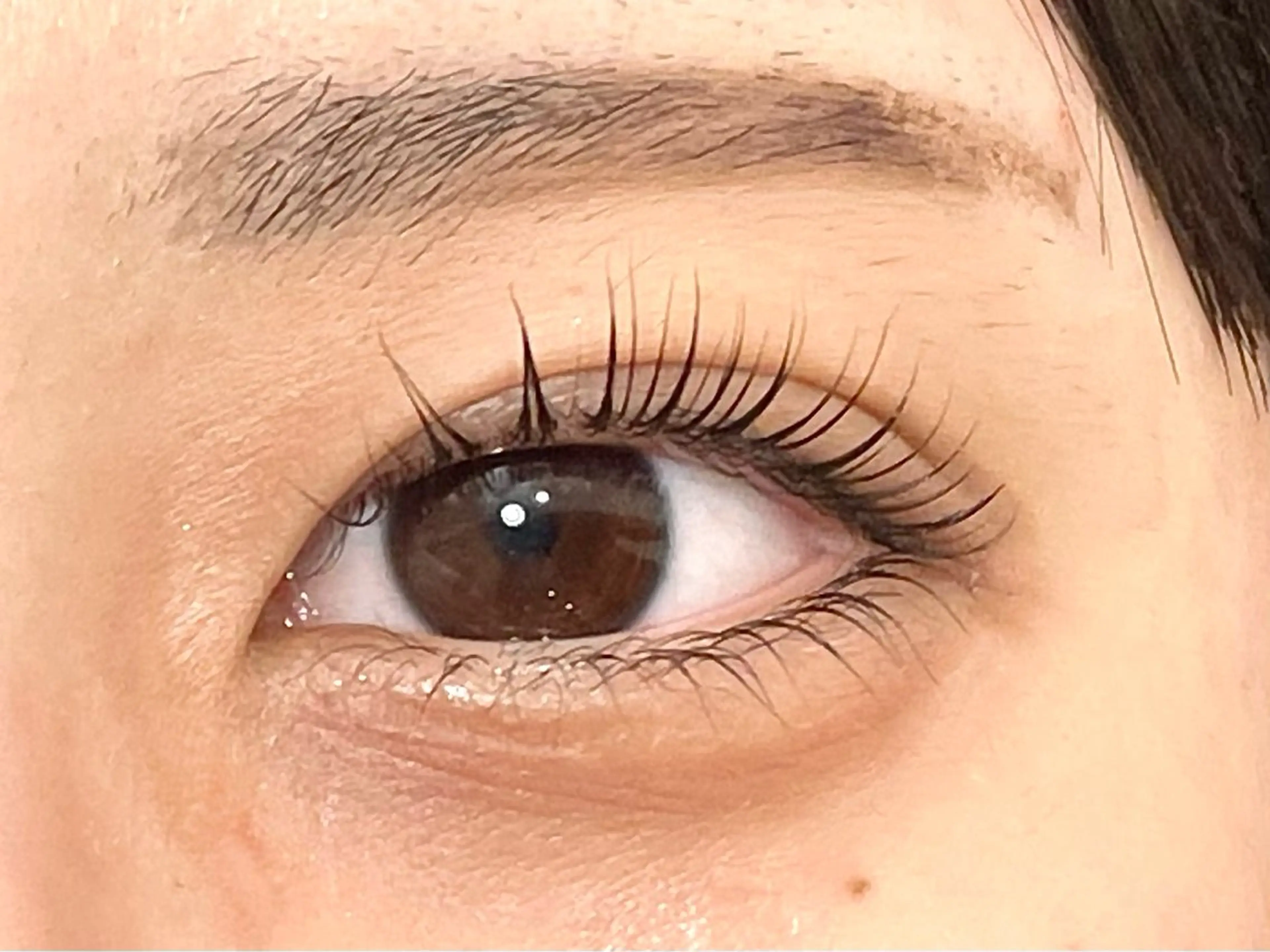 マツエク・マツパ 🌿OCT  中目黒 ハヤカワ ユウリ🌿のマツエク・マツパデザイン