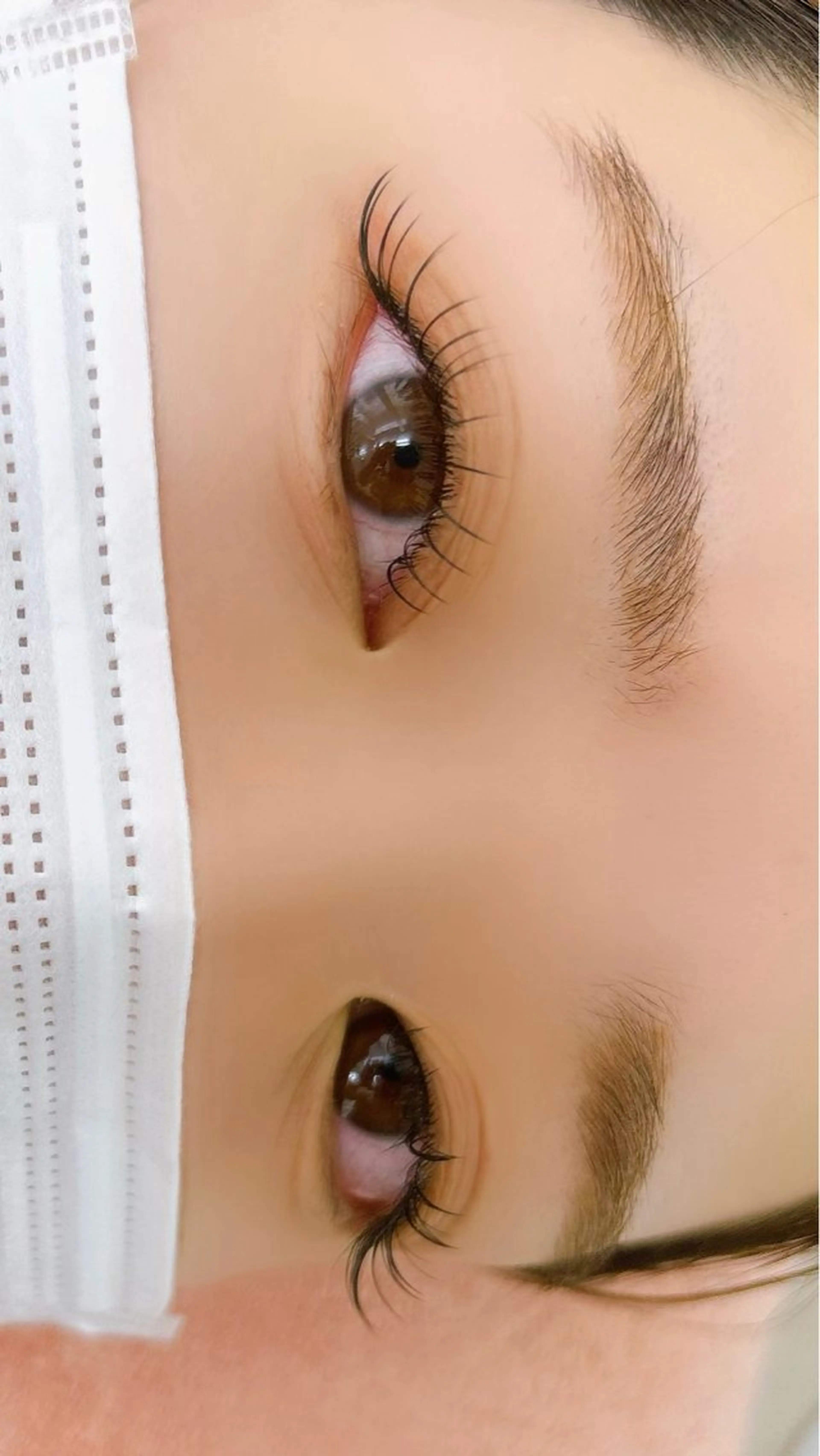 🍋フラットラッシュ100本の写真