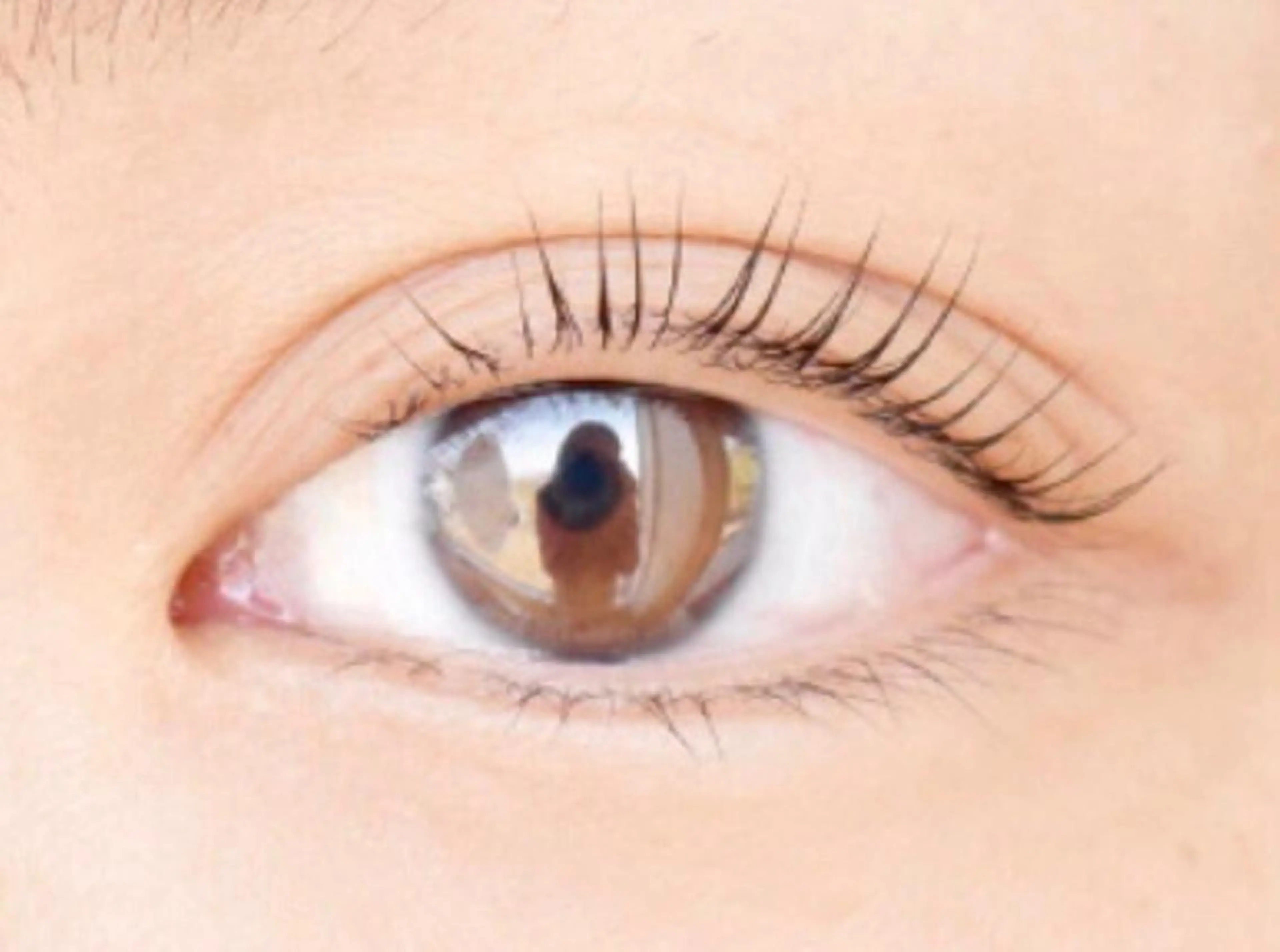 マツエク・マツパ eyelist kのマツエク・マツパデザイン