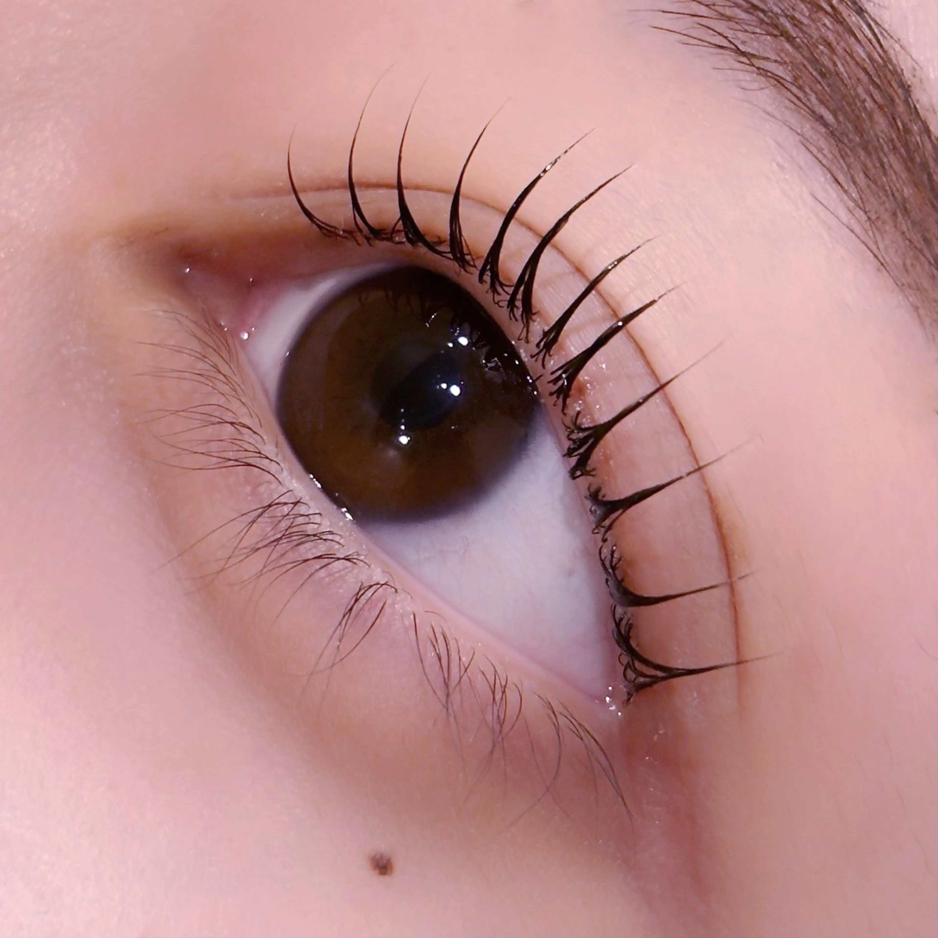 マツエク・マツパ マツパ pono大宮東口店 店長🩰AOHA🩰のマツエク・マツパデザイン