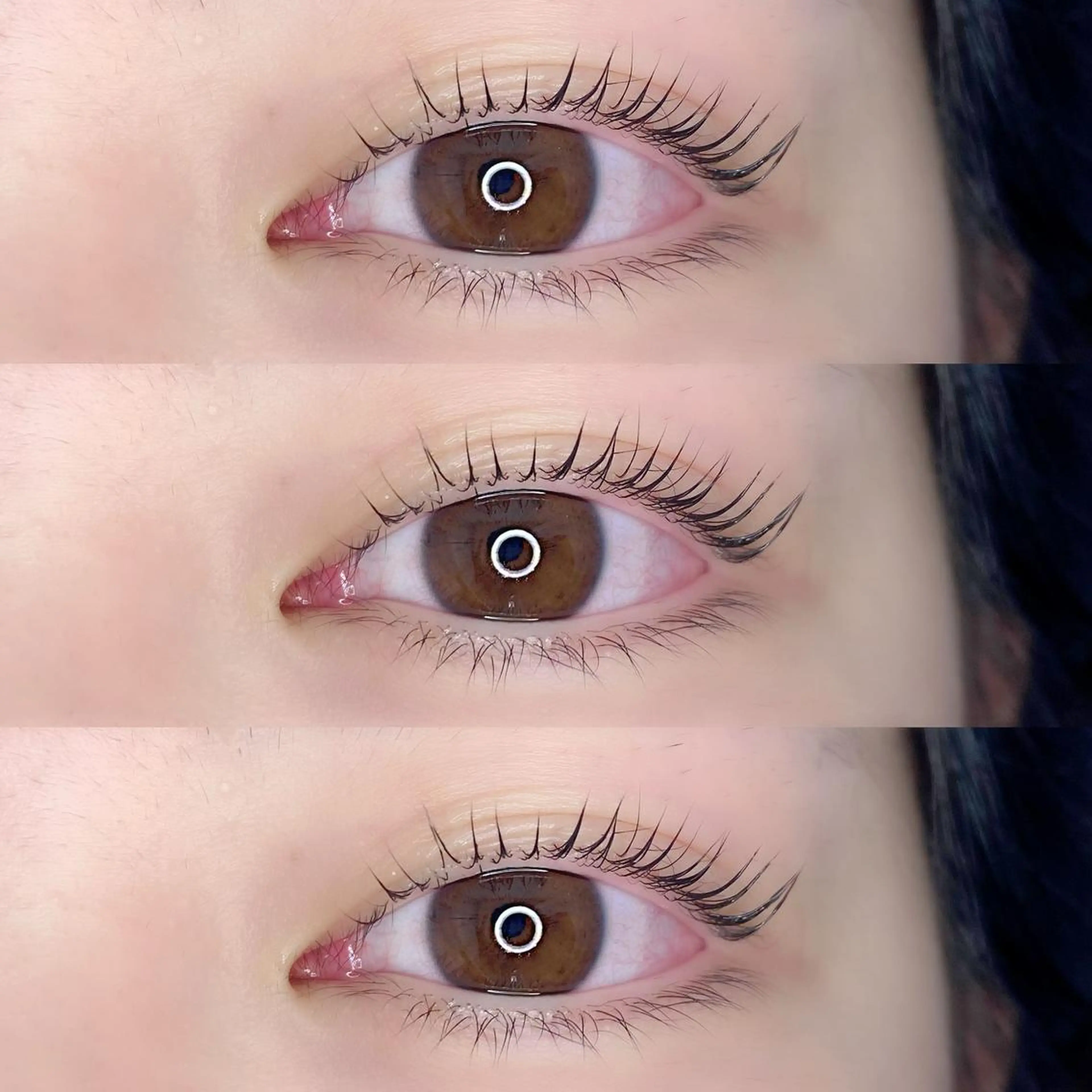 マツエク・マツパ パリジェンヌラッシュリフト LAND【ランド】 小鹿のマツエク・マツパデザイン