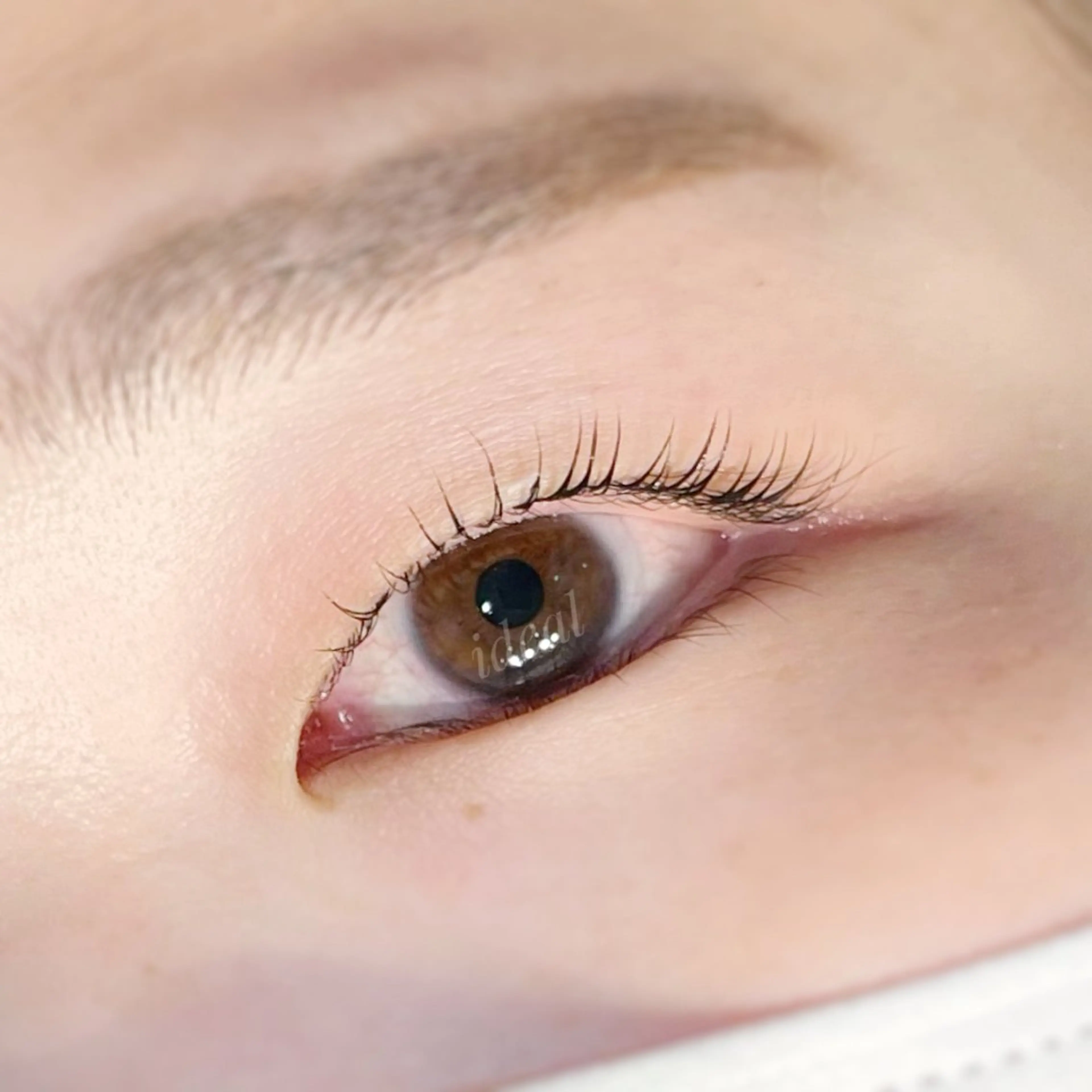 マツエク・マツパ 一重×まつ毛パーマ まつげ＆眉毛サロンidéal所属・idéal 高島のマツエク・マツパデザイン