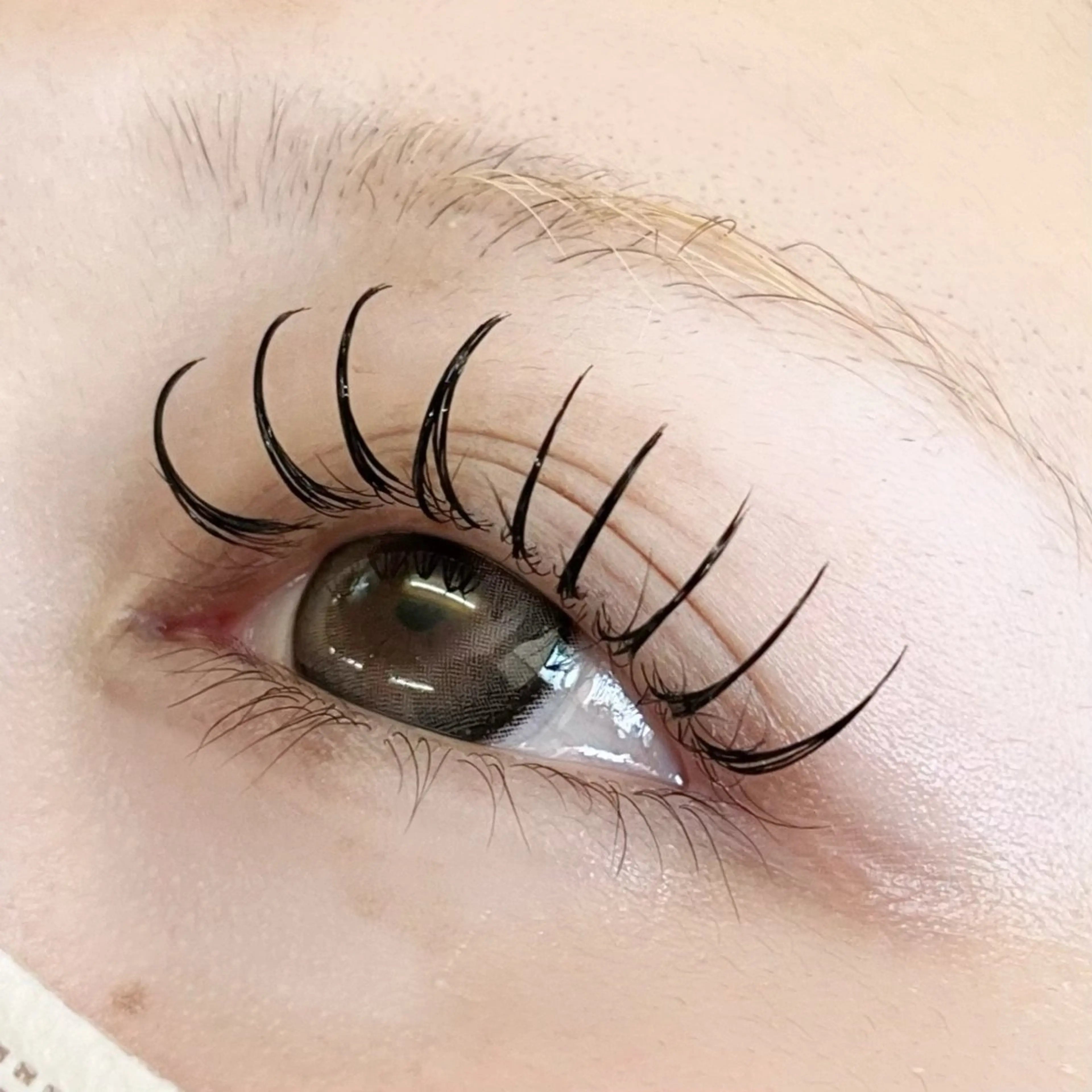 マツエク・マツパ マツエク Riran♡ Moeのマツエク・マツパデザイン