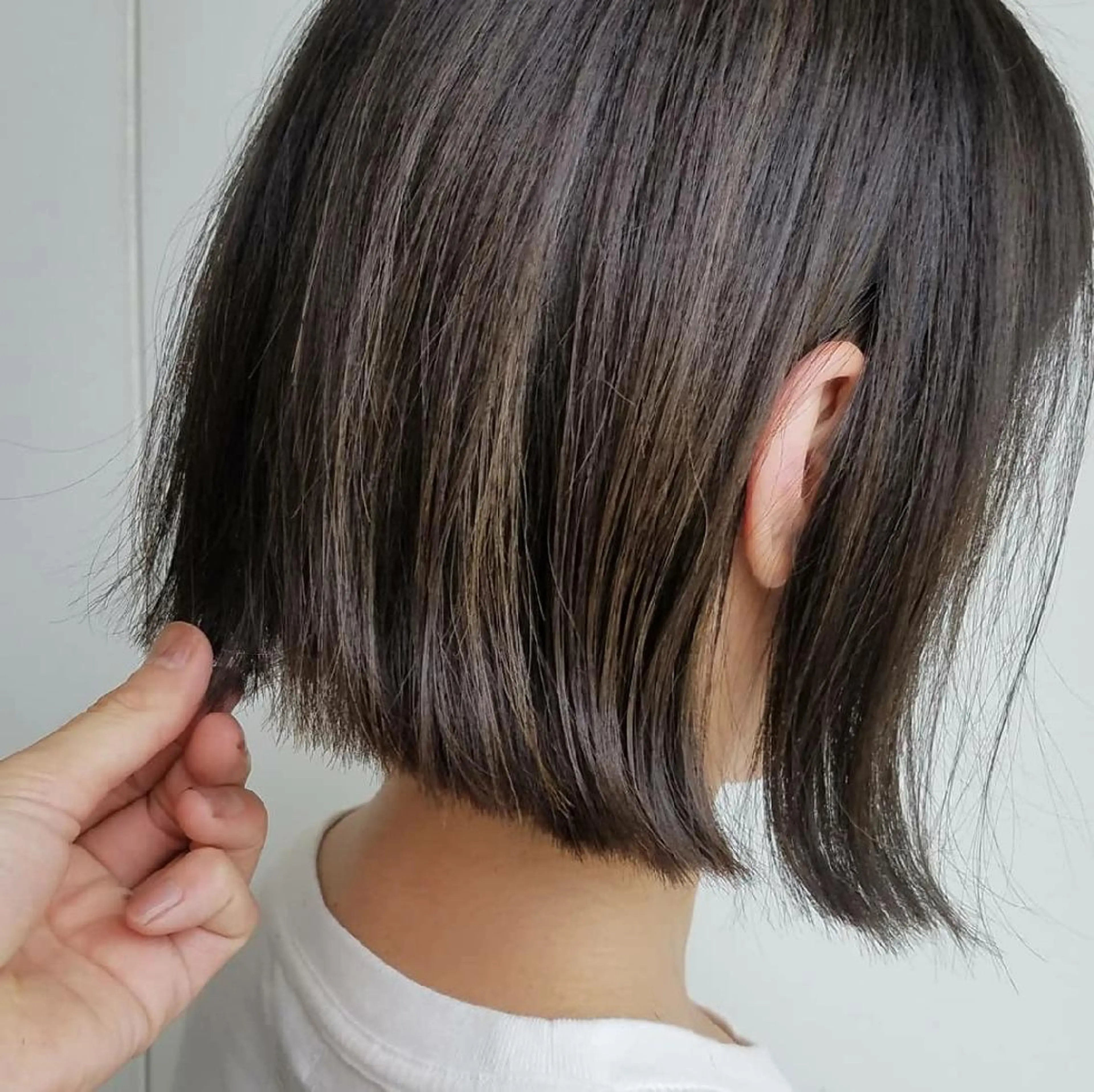 カラー ショート iplus まつげ、眉毛、耳つぼのマツエク・マツパデザイン