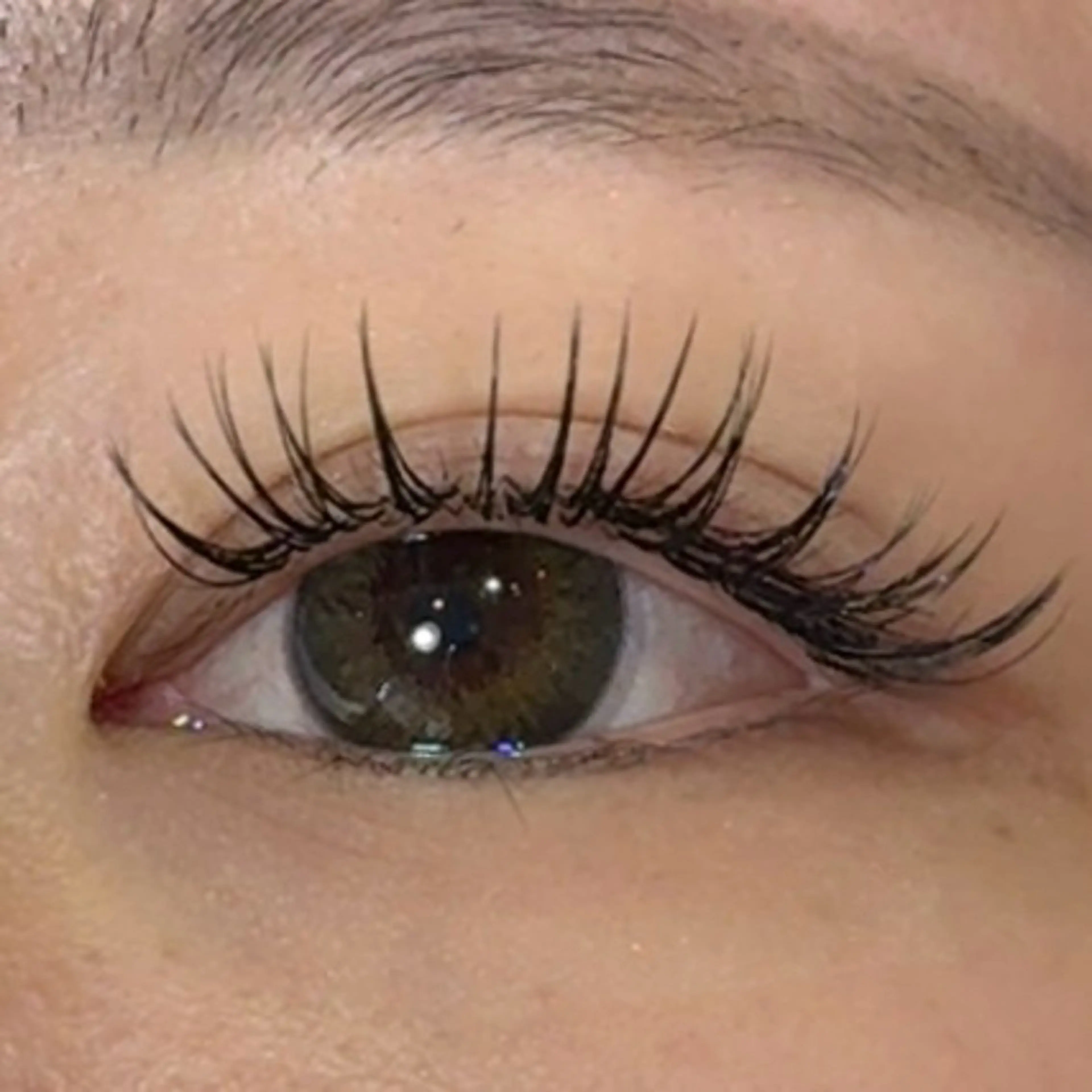 マツエク・マツパ CCカール Cカール キュート セーブル August 大野のエステ・リラクイメージ