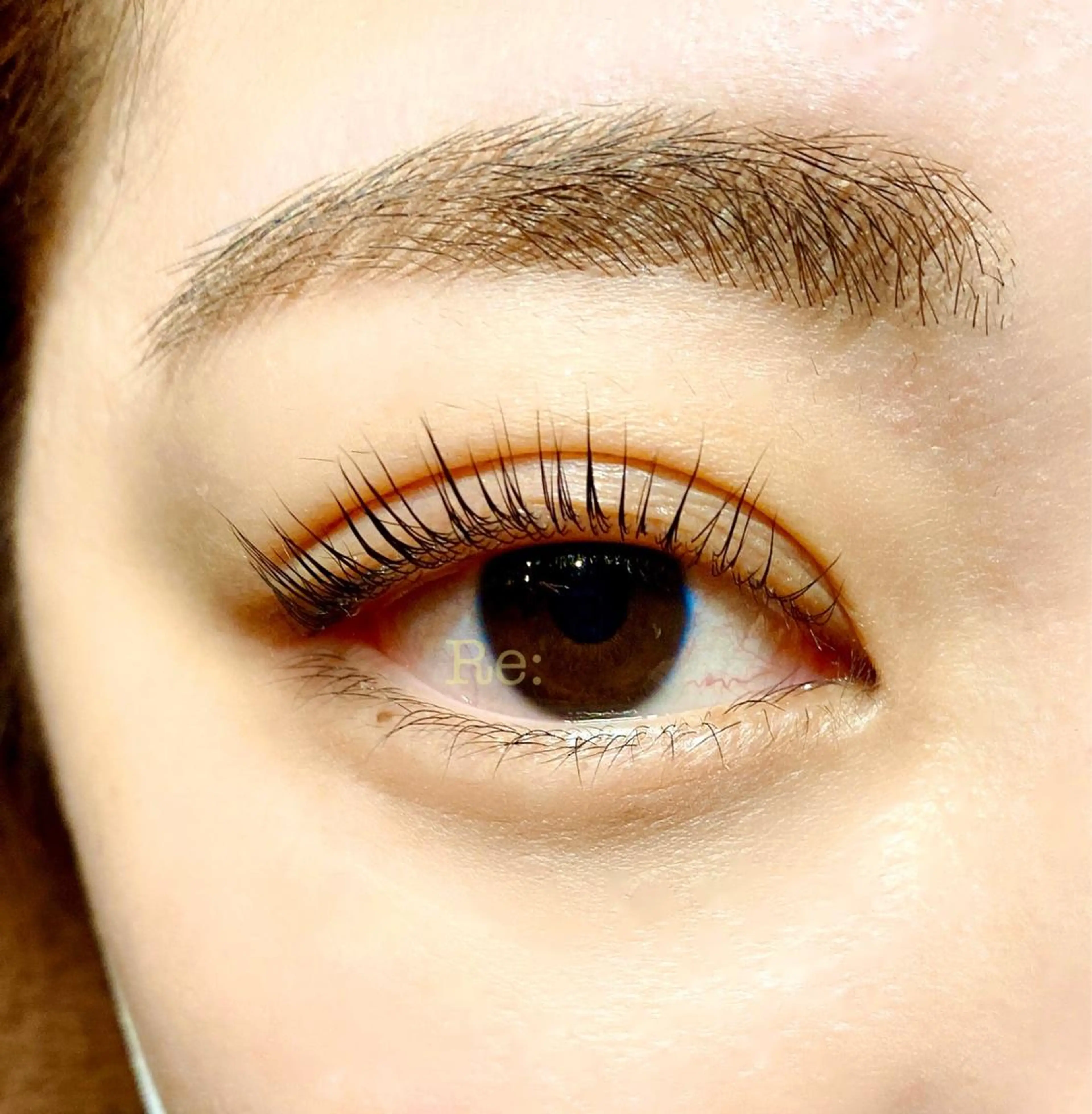 マツエク・マツパ フラットラッシュ Lカール 目尻長め ナチュラル まつげパーマ Lash Re：のマツエク・マツパデザイン