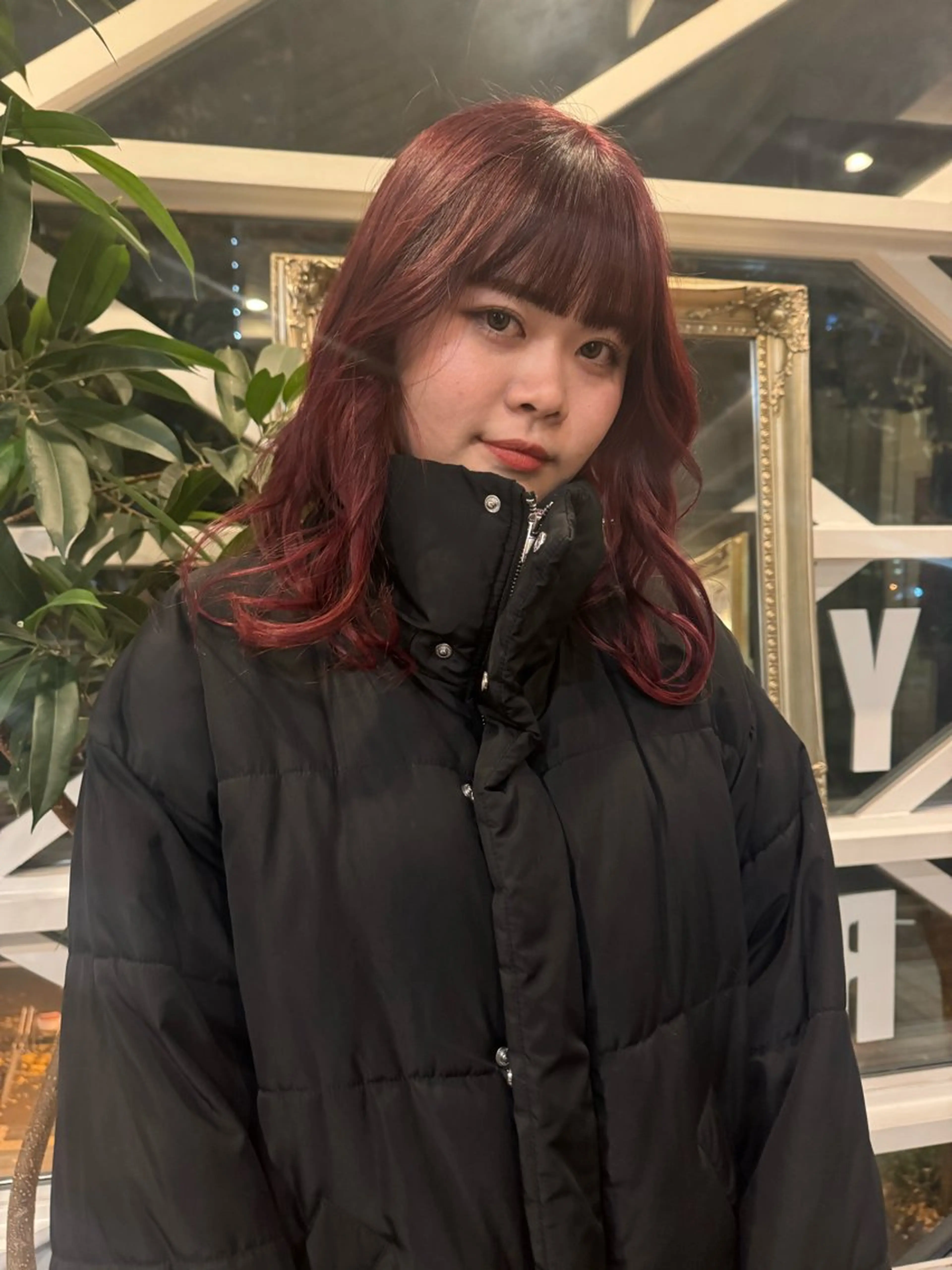 ワンカラーの写真