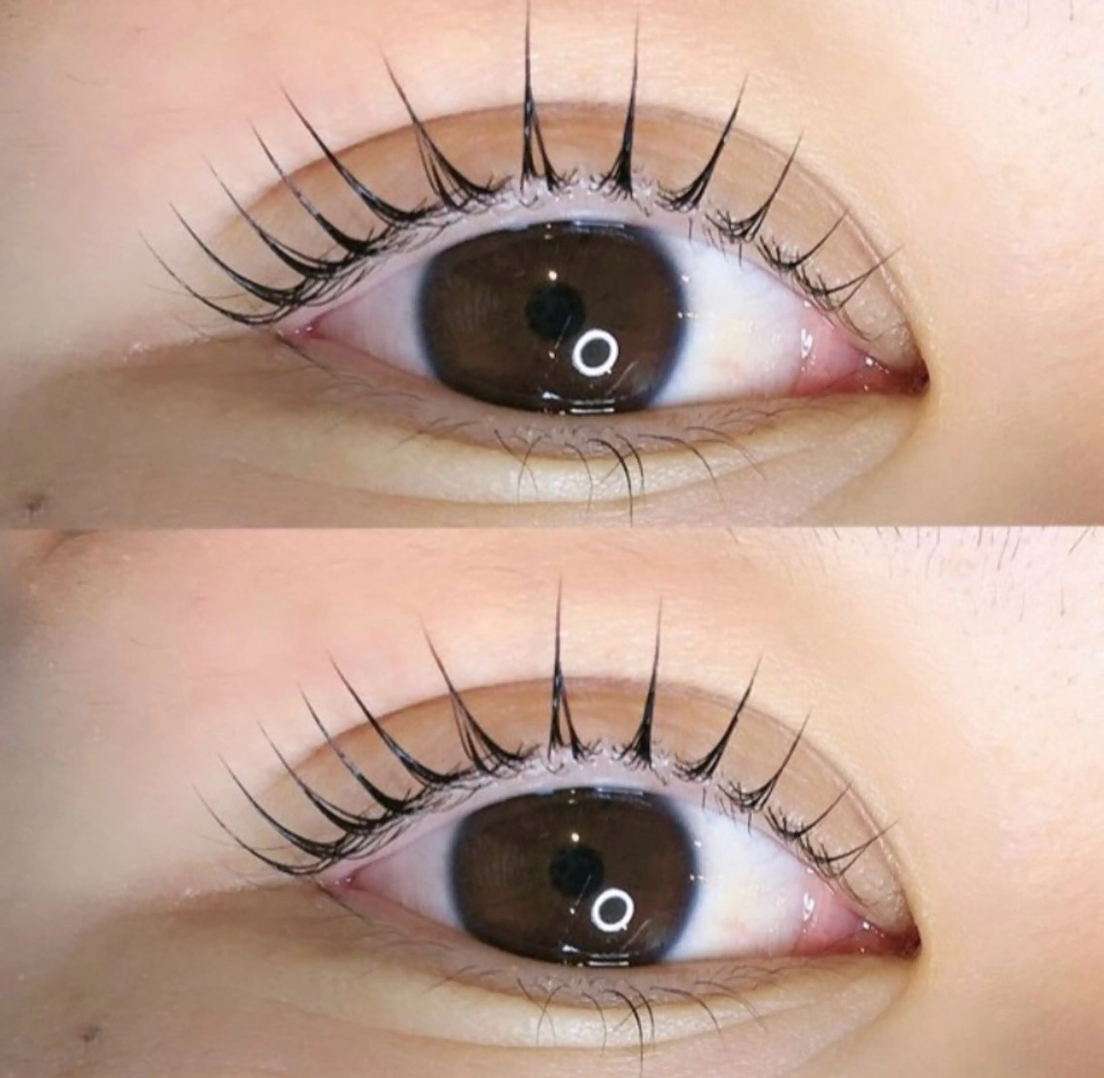 マツエク・マツパ マツパ eyelash salon CILS所属・Roi / SHIHOのマツエク・マツパデザイン