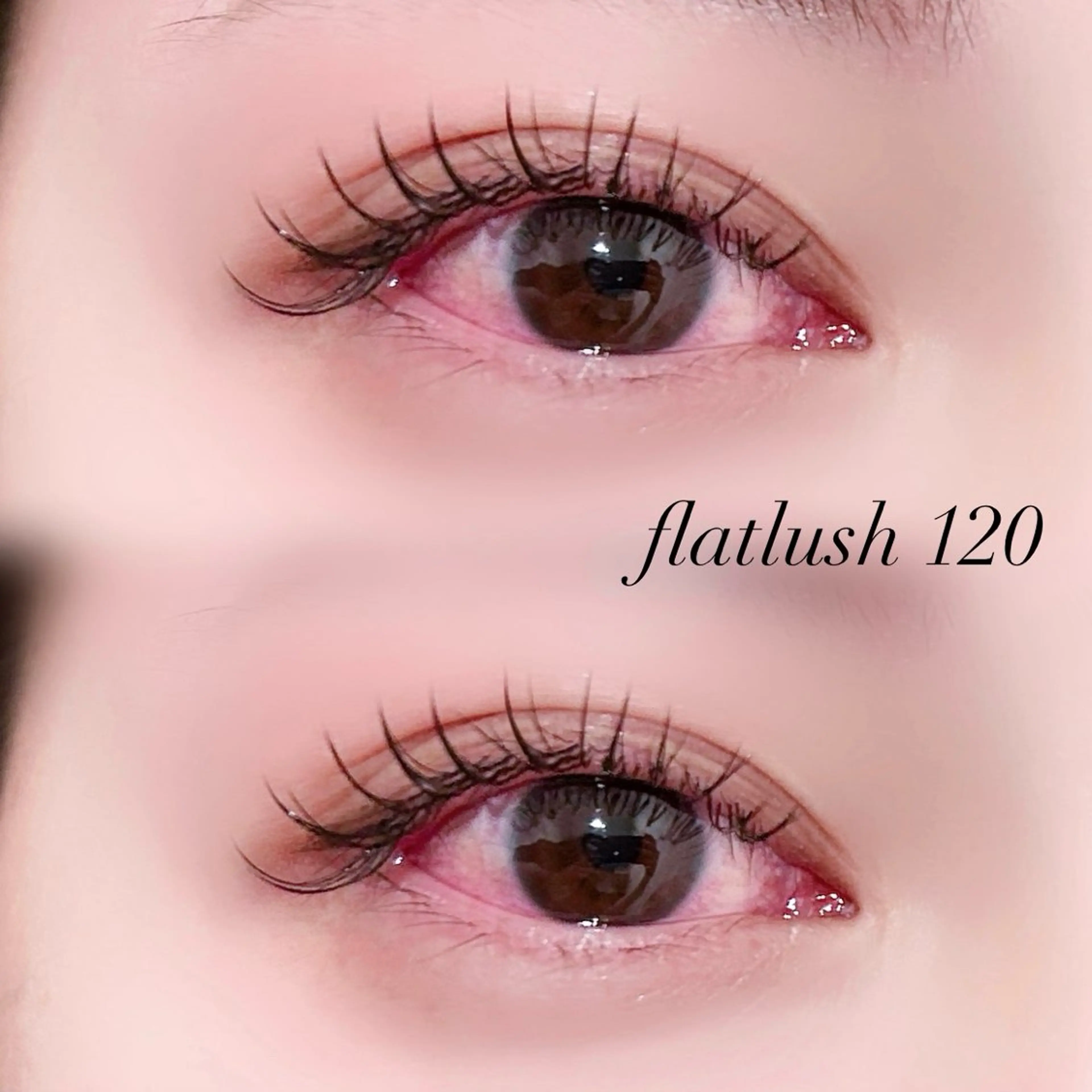 フラットラッシュ120本💞本数変更も◎の写真