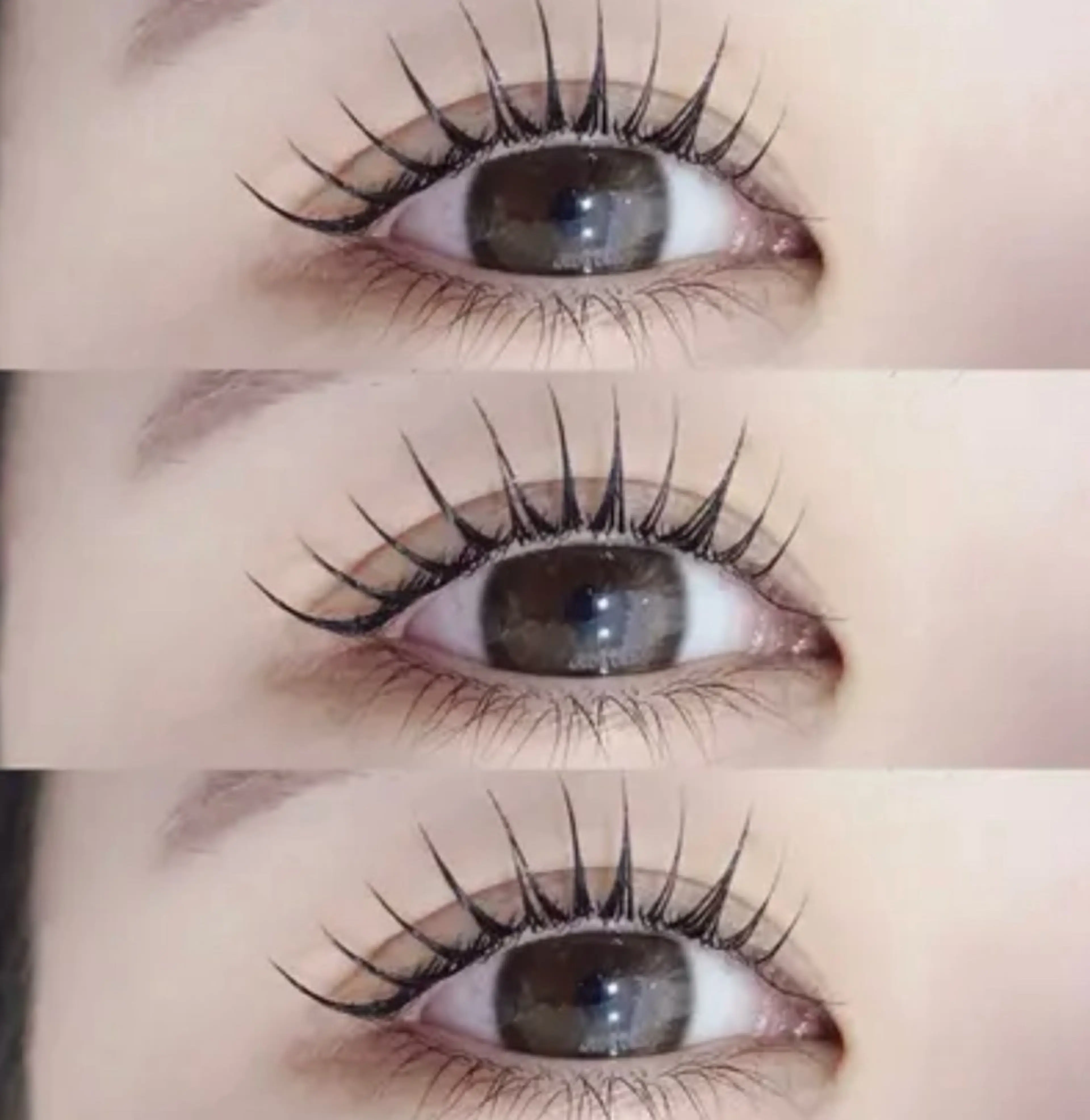 12月限定💕まつげパーマ💎パリジェンヌどれでも◎🧸sale¥4500🫶🏻の写真