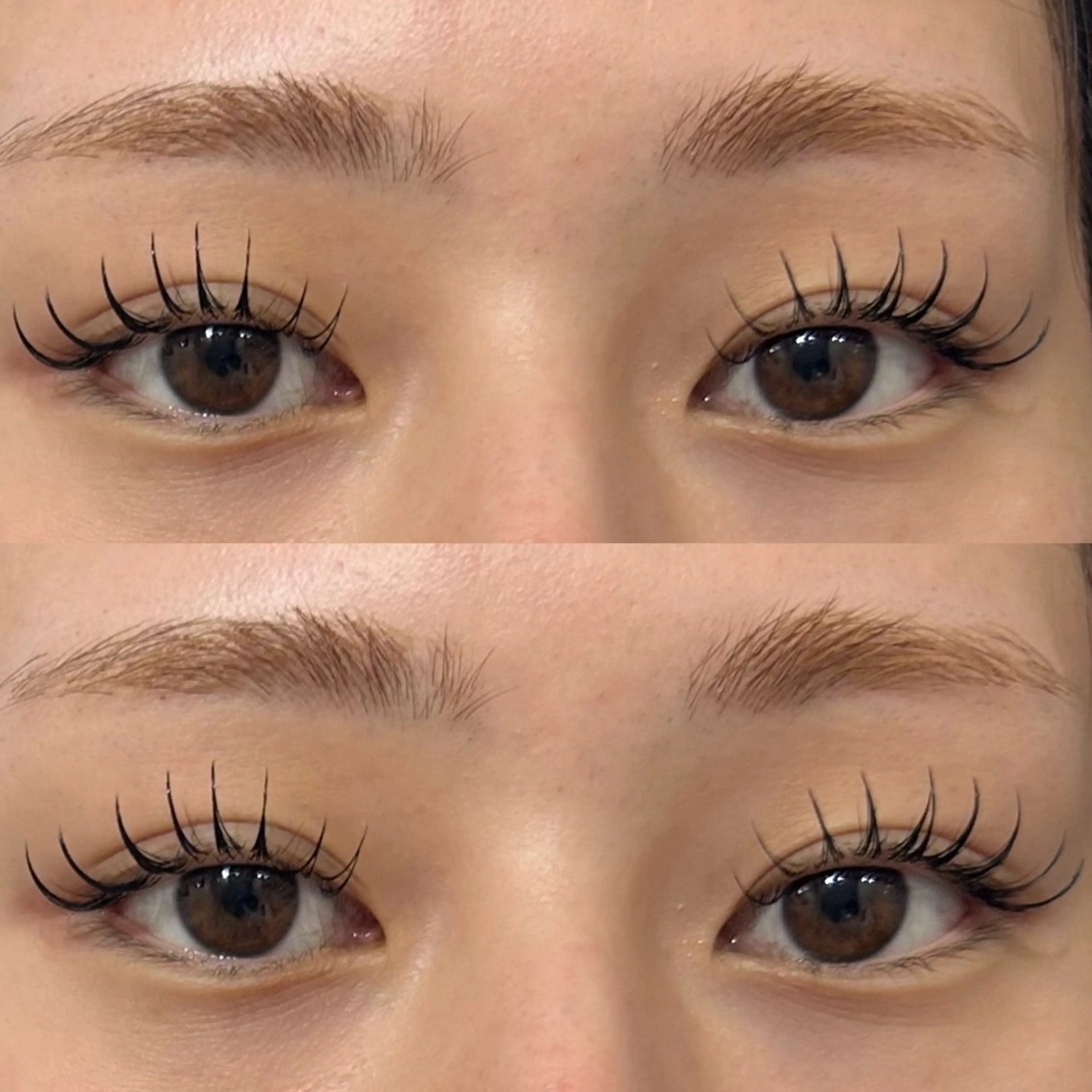 まつ毛エクステ(セーブル120本)※オフなしの写真