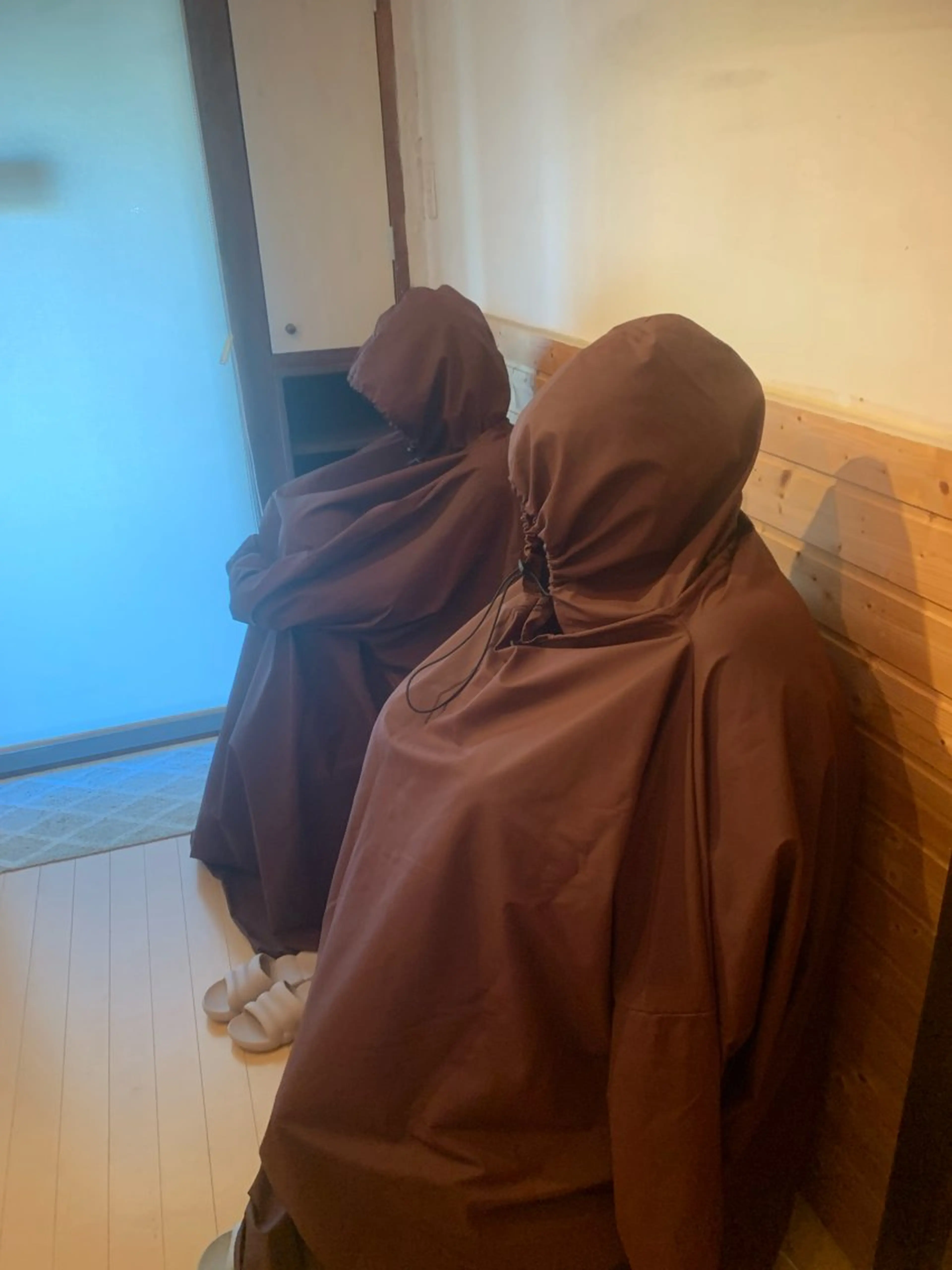 モリンガ蒸し　ペア割り（お2人）の写真