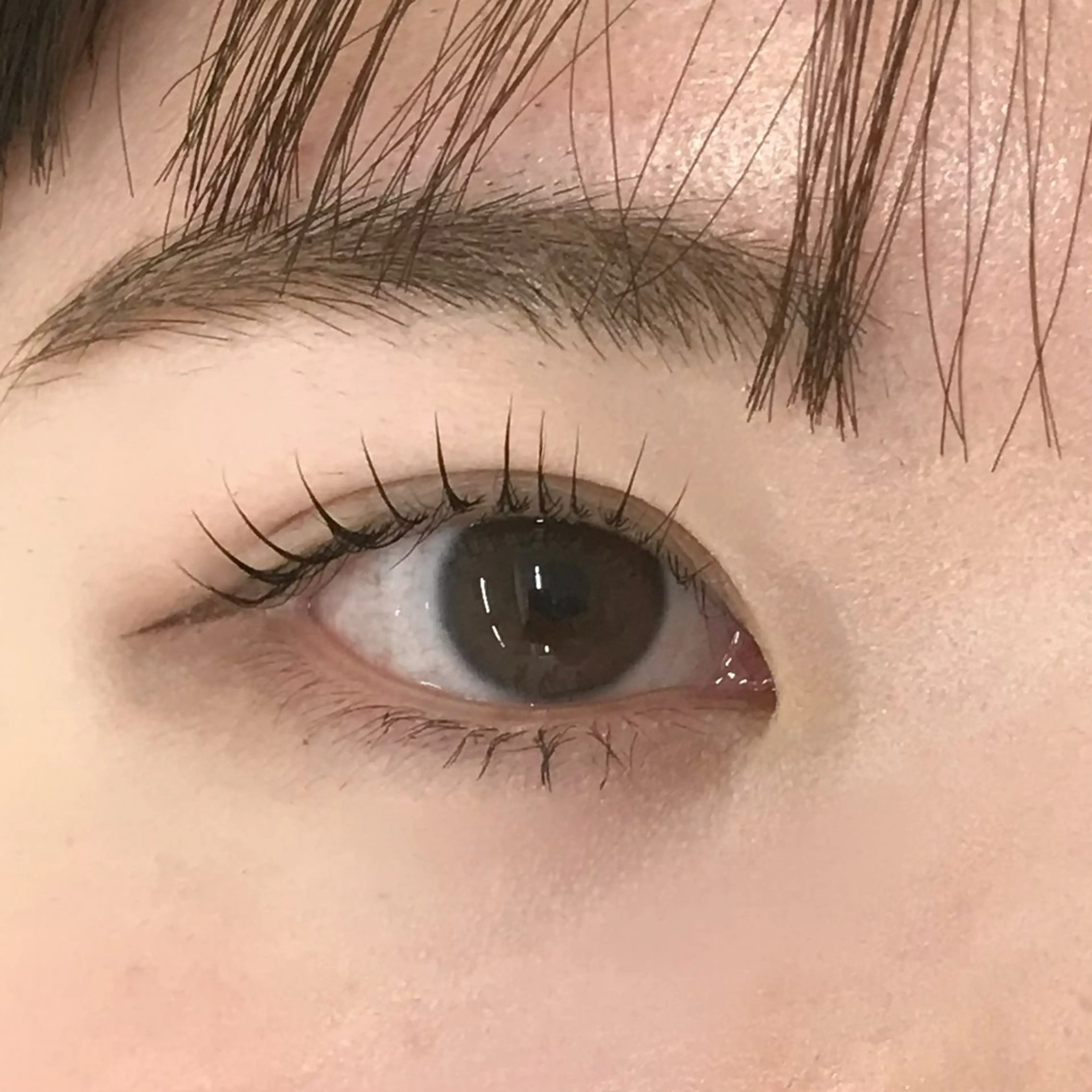 マツエク・マツパ uland yuzukiの眉毛・アイブロウイメージ