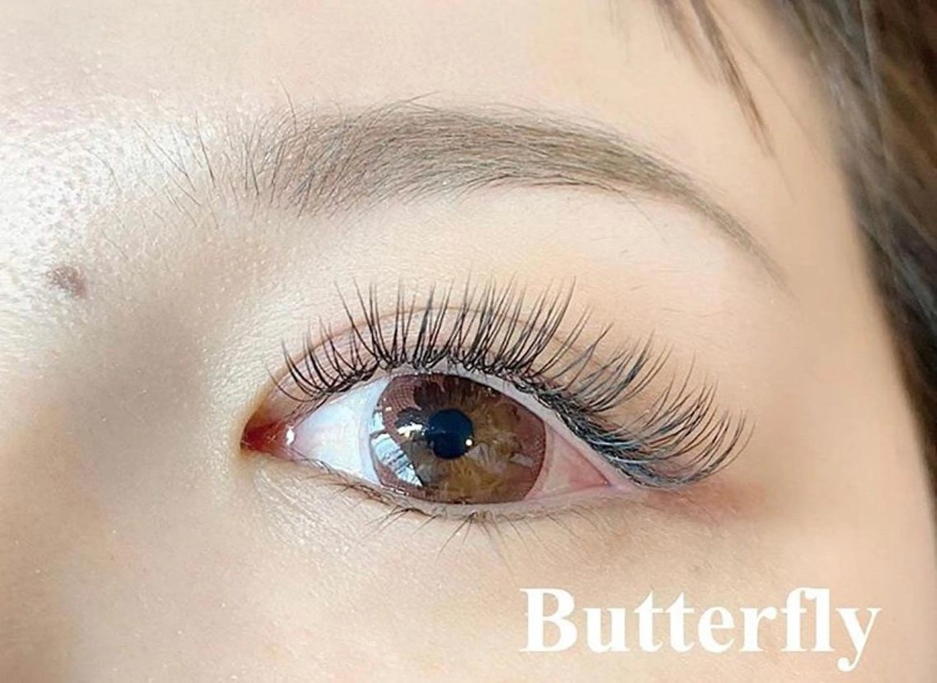 マツエク・マツパ Butterfly 平塚店   横山のマツエク・マツパデザイン