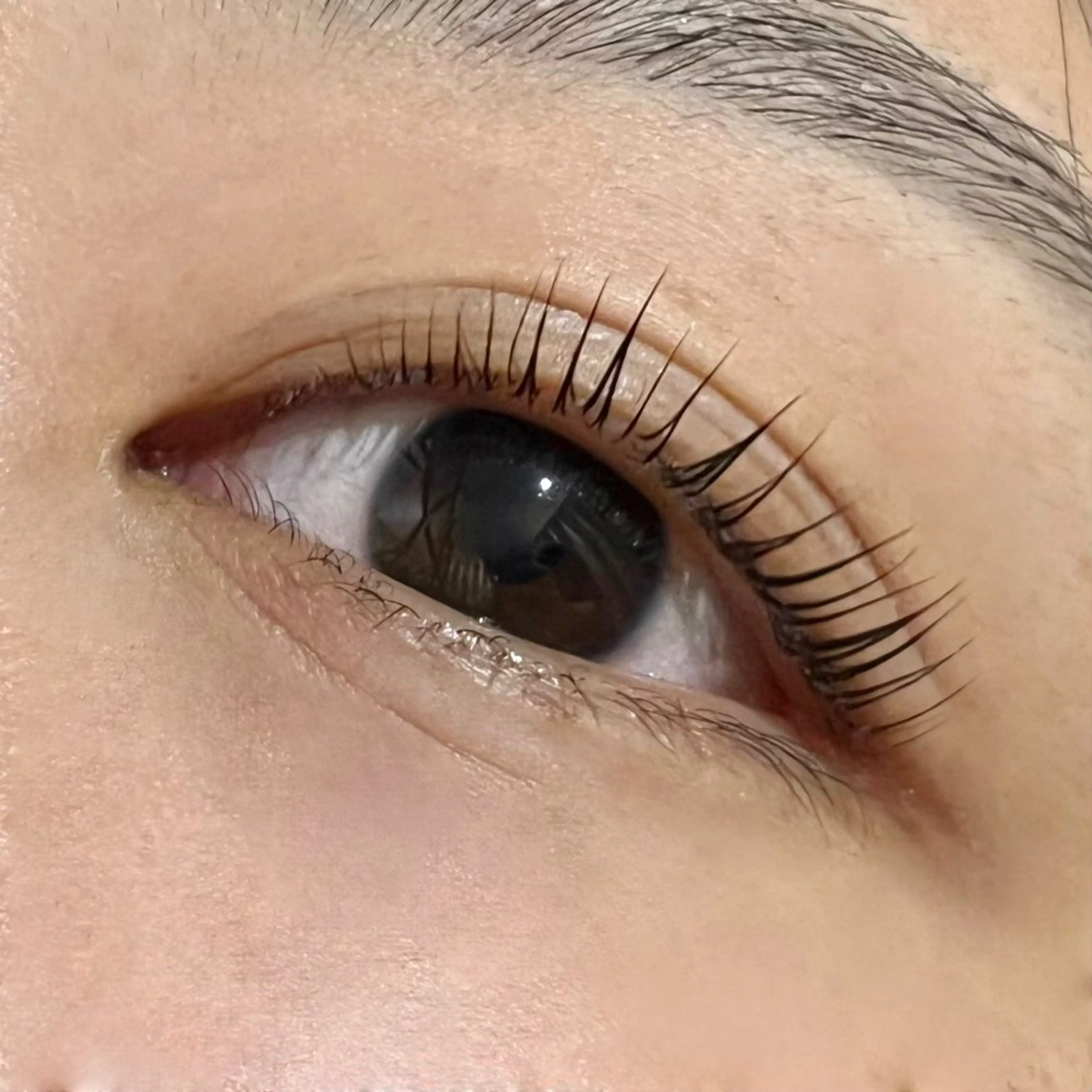 マツエク・マツパ 谷口 乃愛のマツエク・マツパデザイン