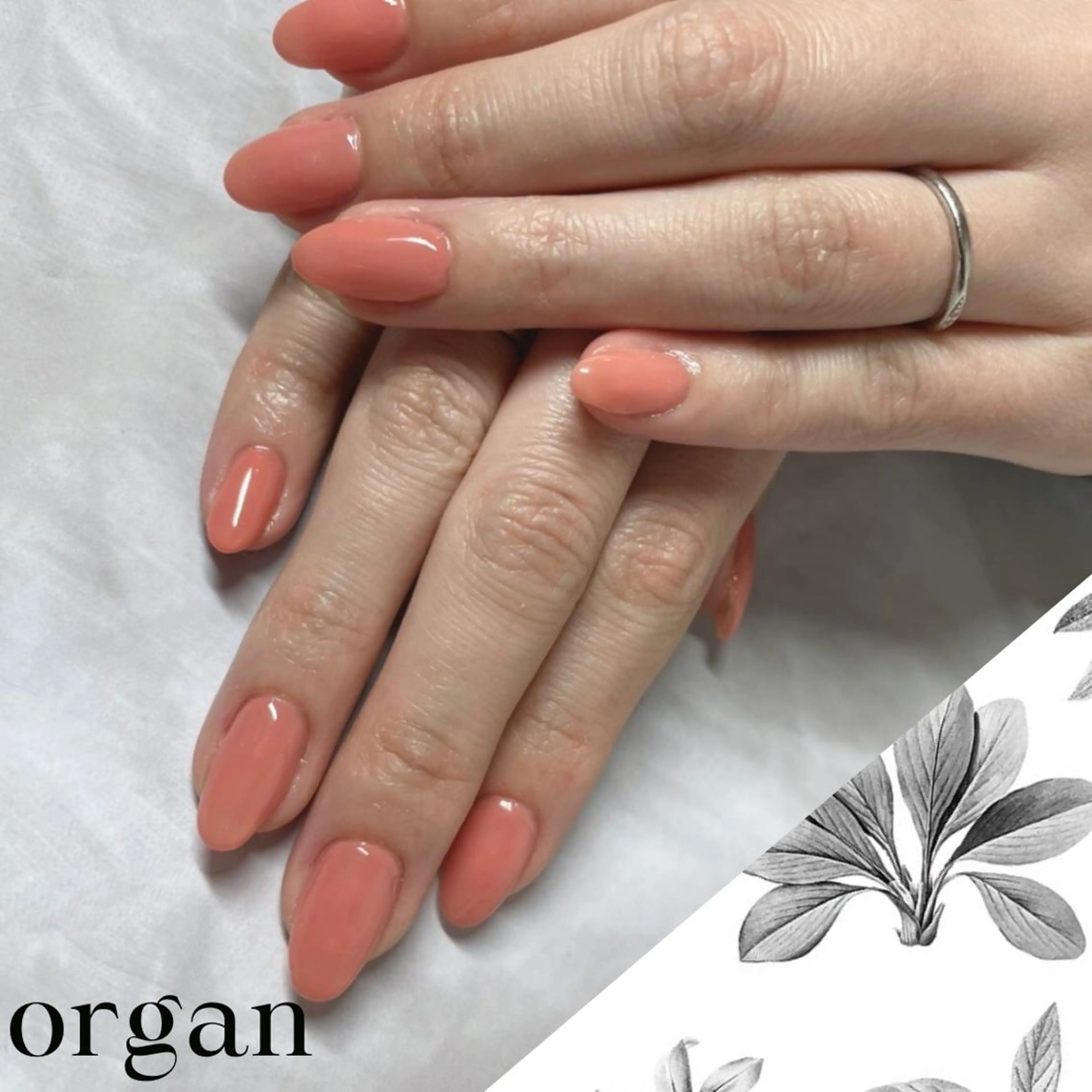 ネイル ワンカラーネイル 【ＯＲＧＡＮ】 nailのネイルデザイン