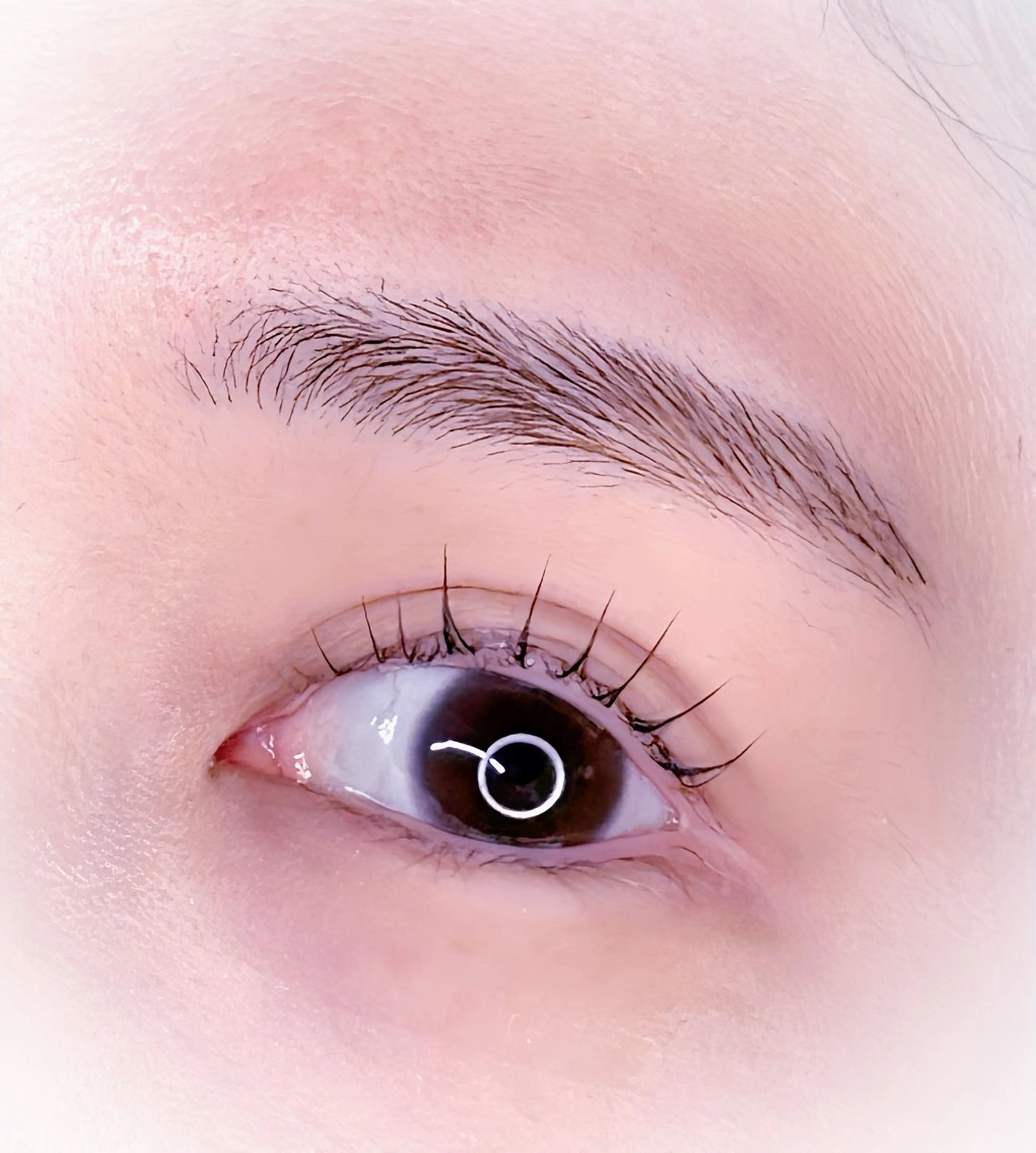 マツエク・マツパ Violet Essenceの眉毛・アイブロウイメージ