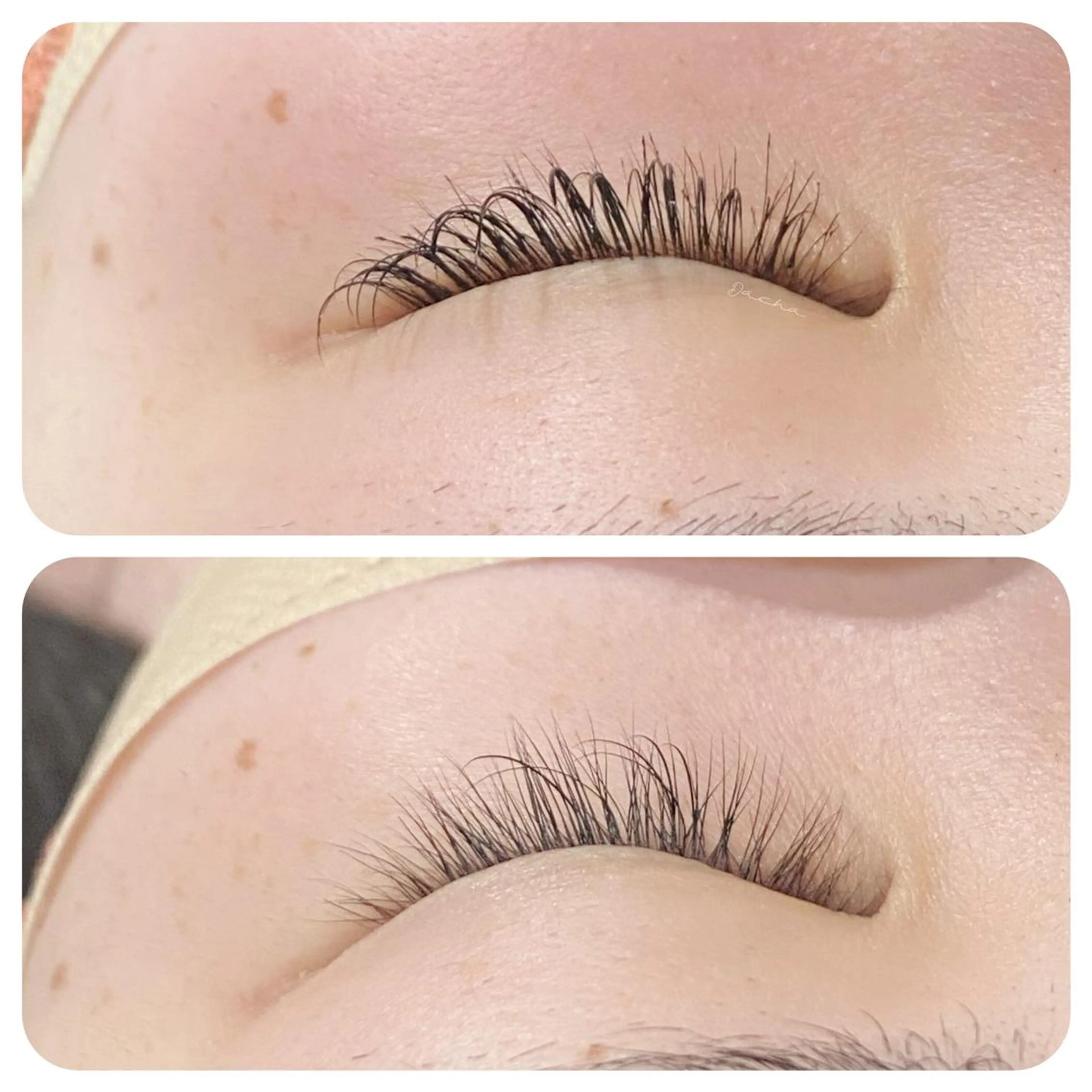 マツエク・マツパ Dacha まつ毛屋さんのマツエク・マツパデザイン