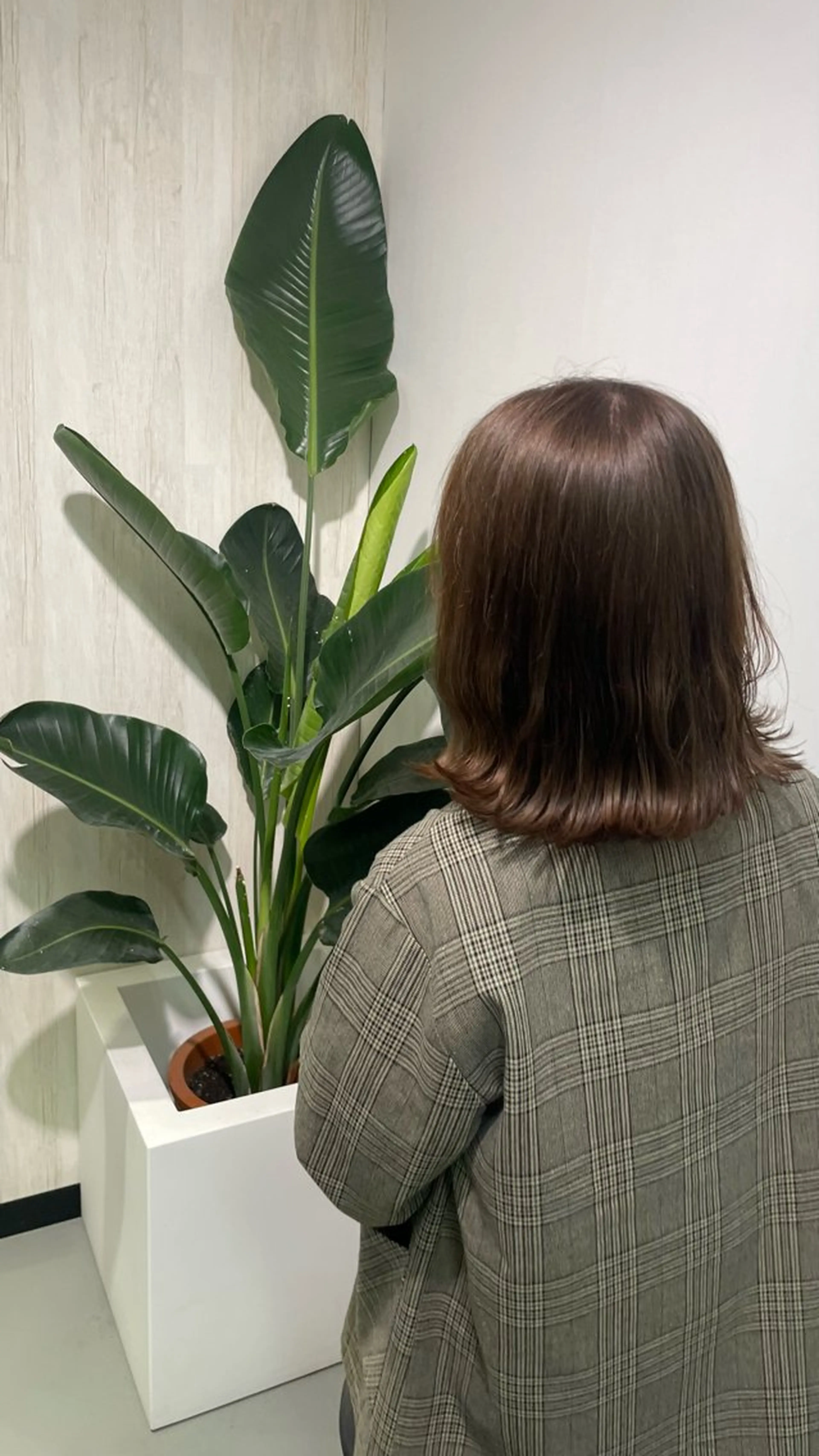 【7500円】縮毛or髪質改善&トリートメントヘッドスパの写真