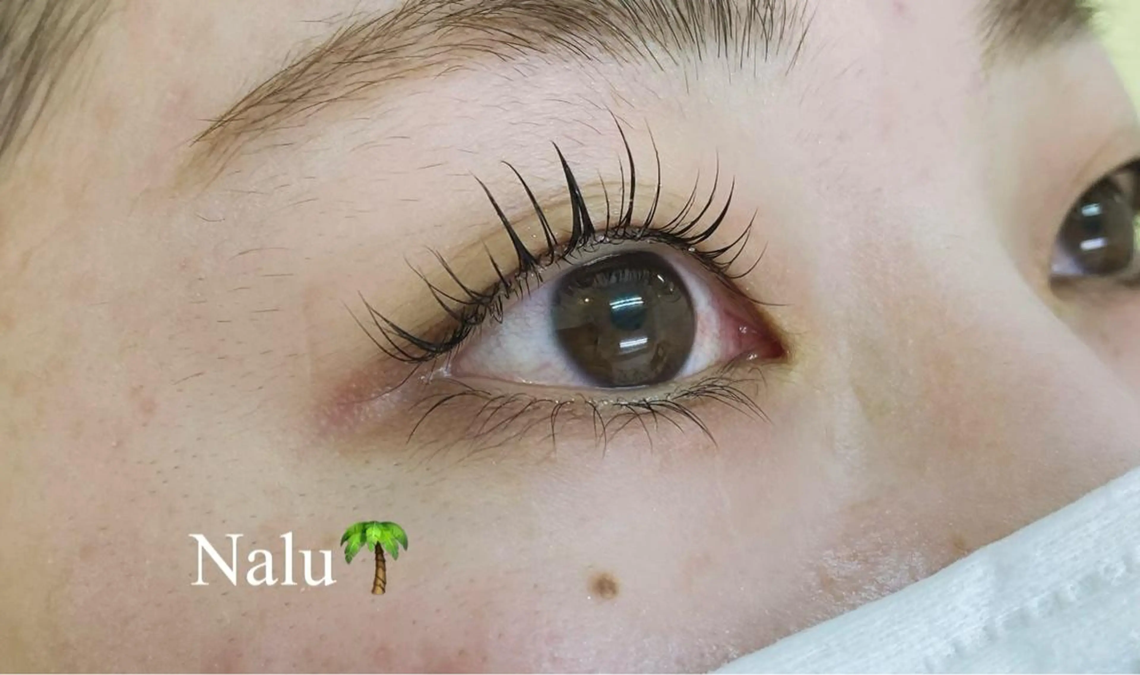 マツエク・マツパ Nalu  eyelashsalon所属・Nalu eyelashのマツエク・マツパデザイン