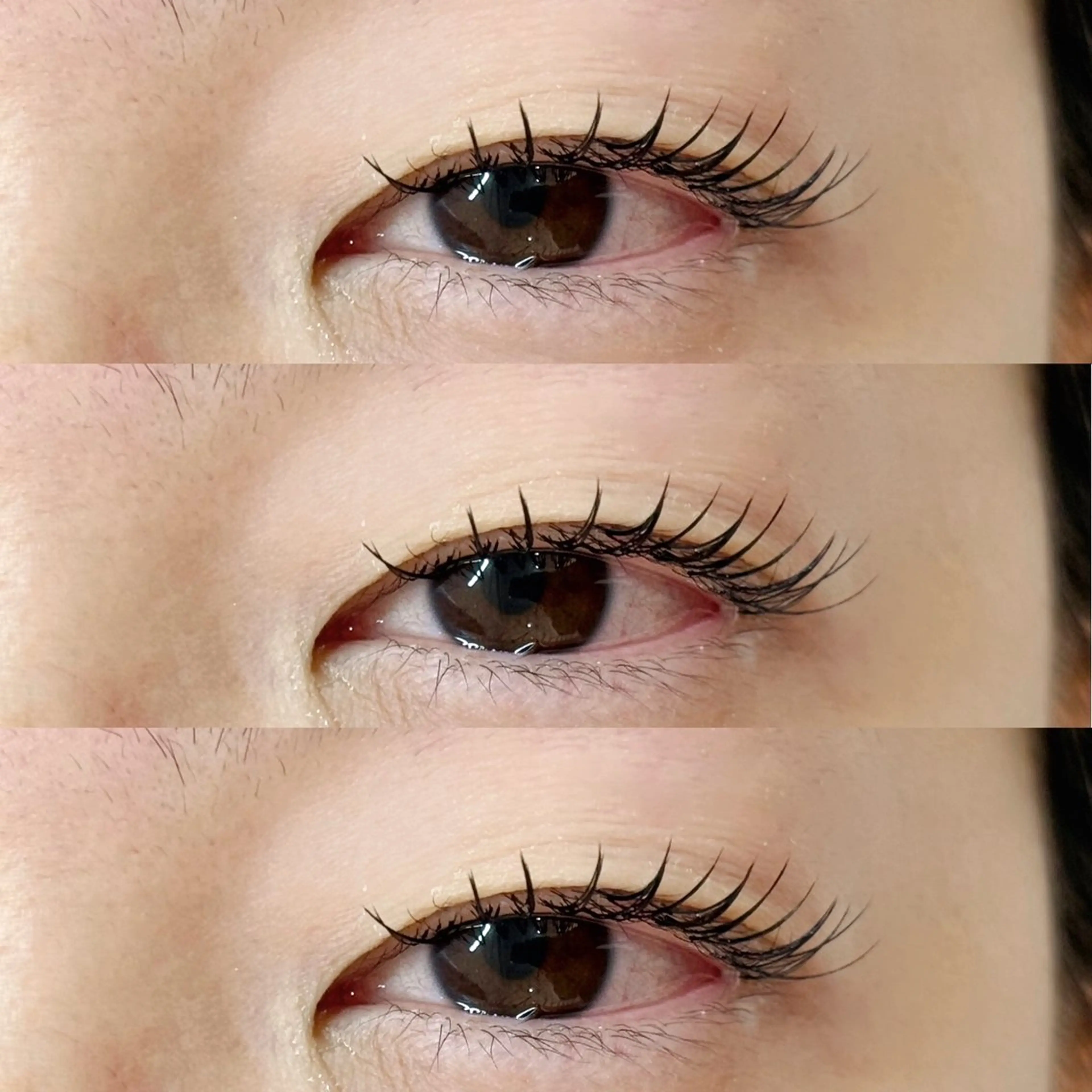 マツエク・マツパ フラットラッシュ ナチュラル MEME🐰 上本町/谷九のマツエク・マツパデザイン