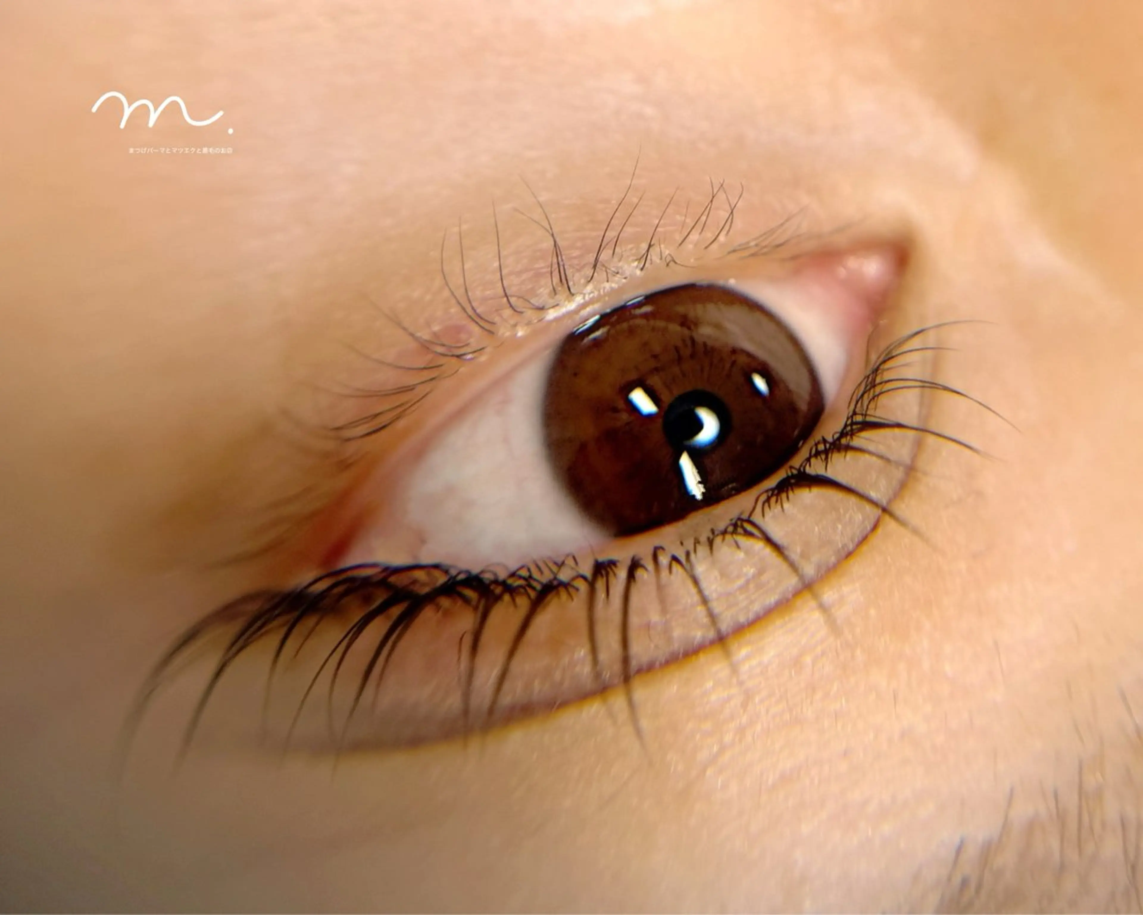 【新規】似合わせオーダーDesign◆まつげパーマ/パリジェンヌ¥4800の写真