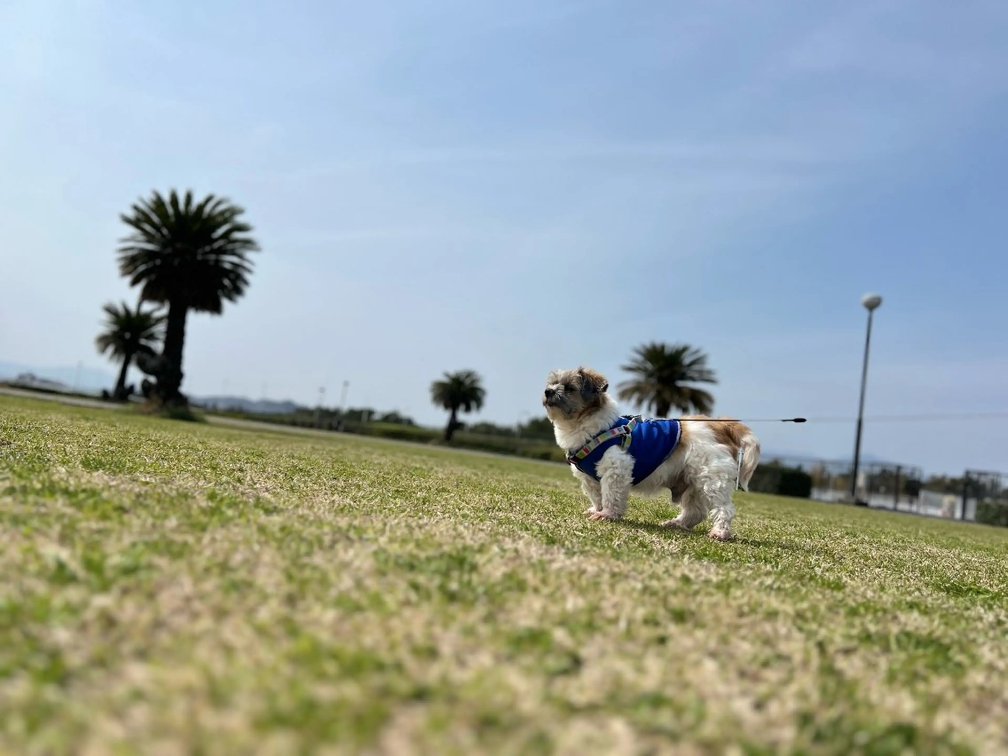 🅖🅤🅩🅔🅛 salonのエステ・リラクイメージ