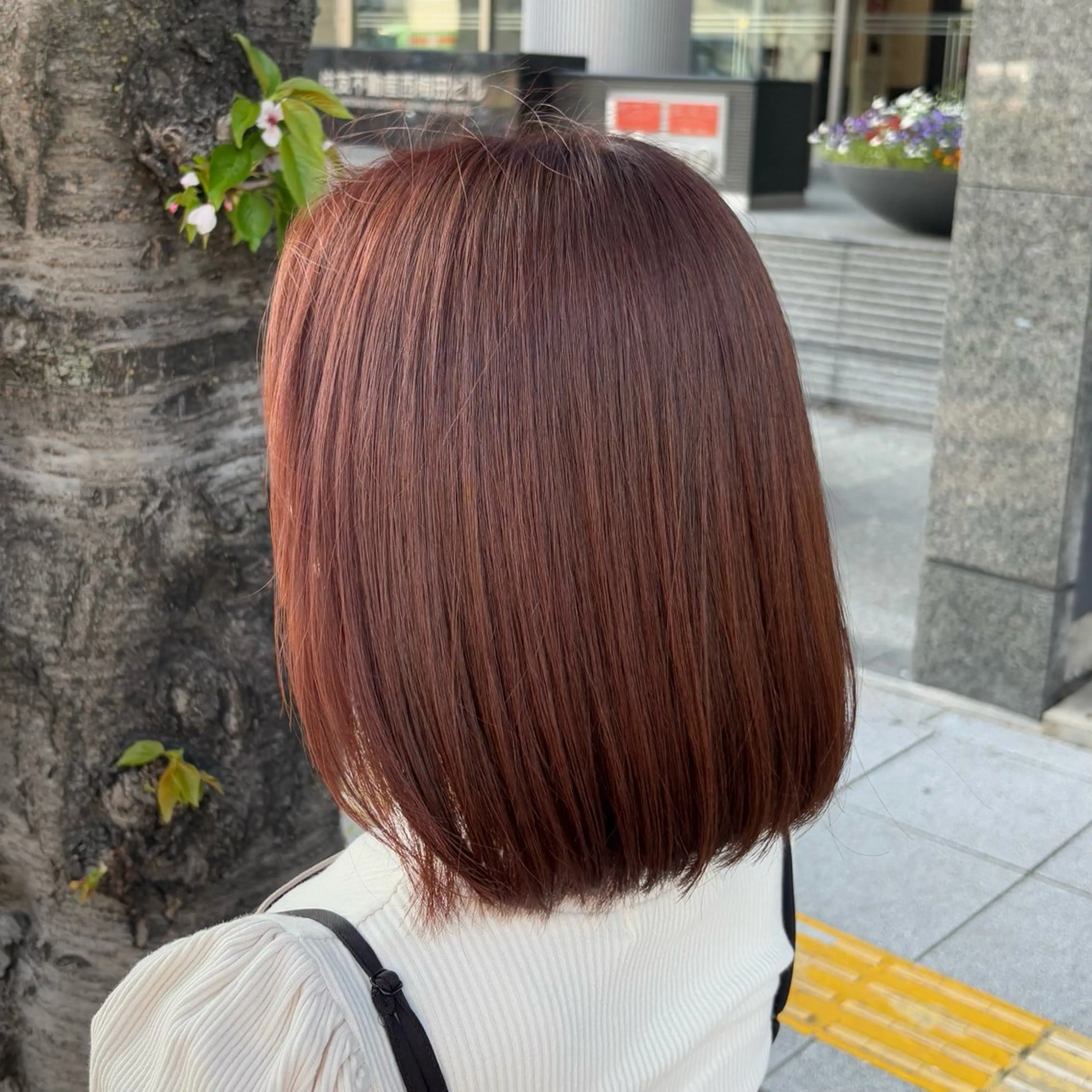 ショート カラー ブラウンカラー カット ヘアカラー BELO OSAKA マオのヘアスタイル
