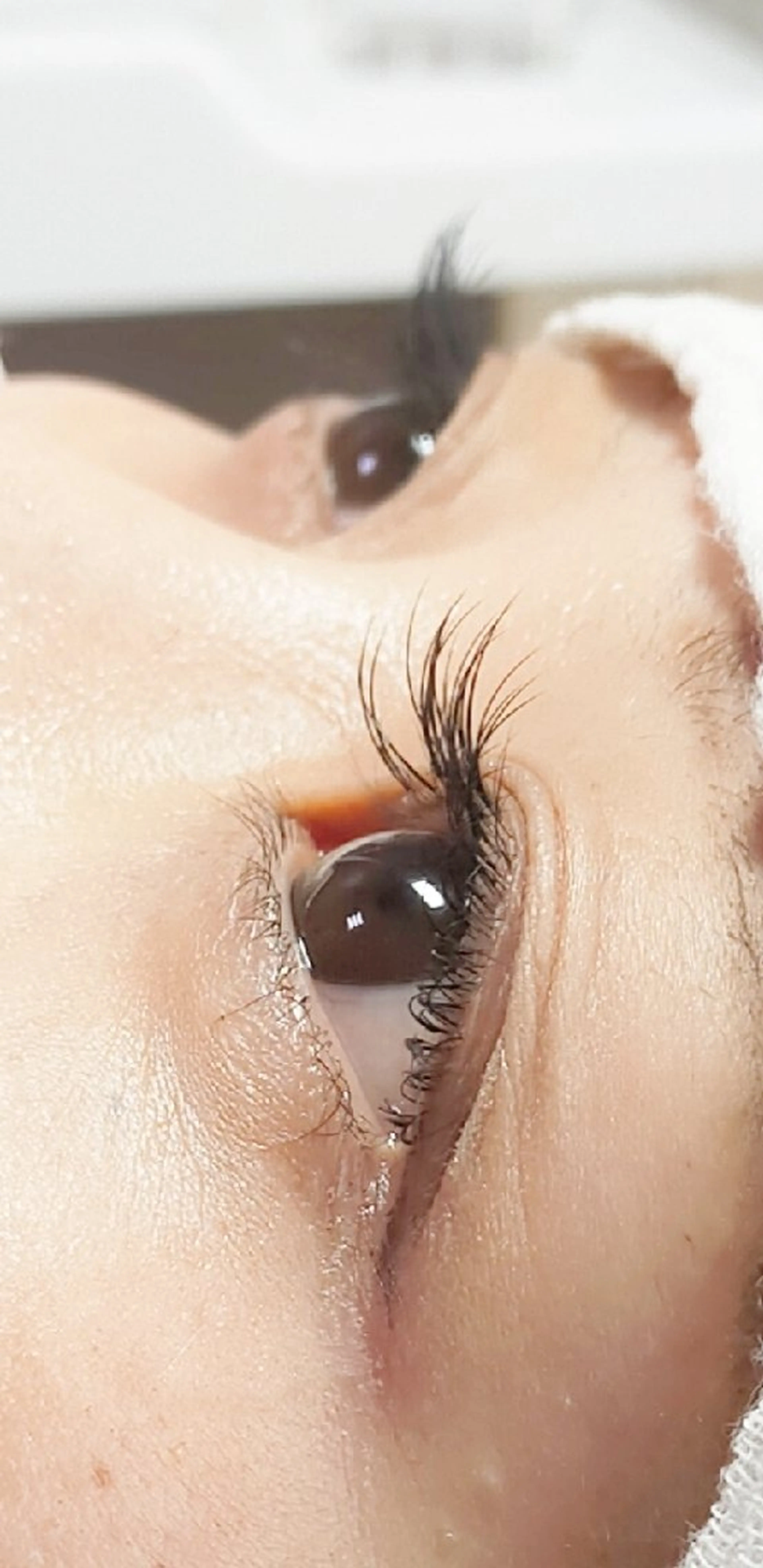 マツエク・マツパ マツエク arms lash 白井のマツエク・マツパデザイン