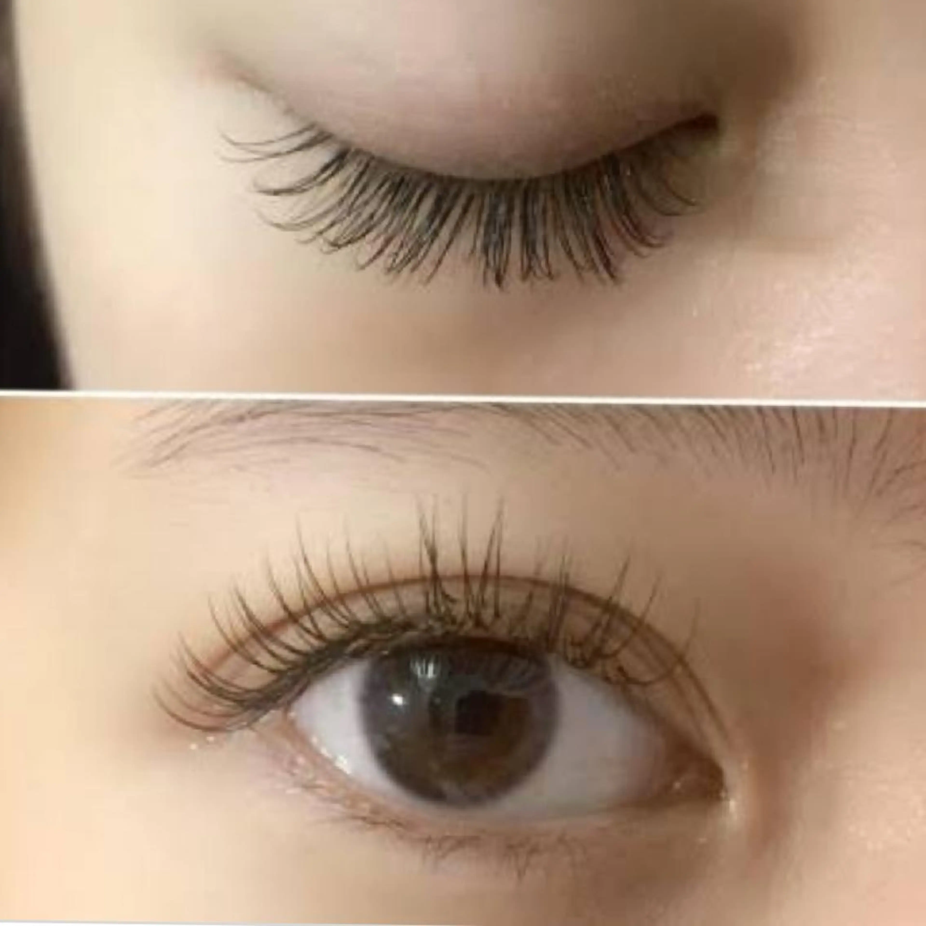 シングル100本　コーティング付の写真