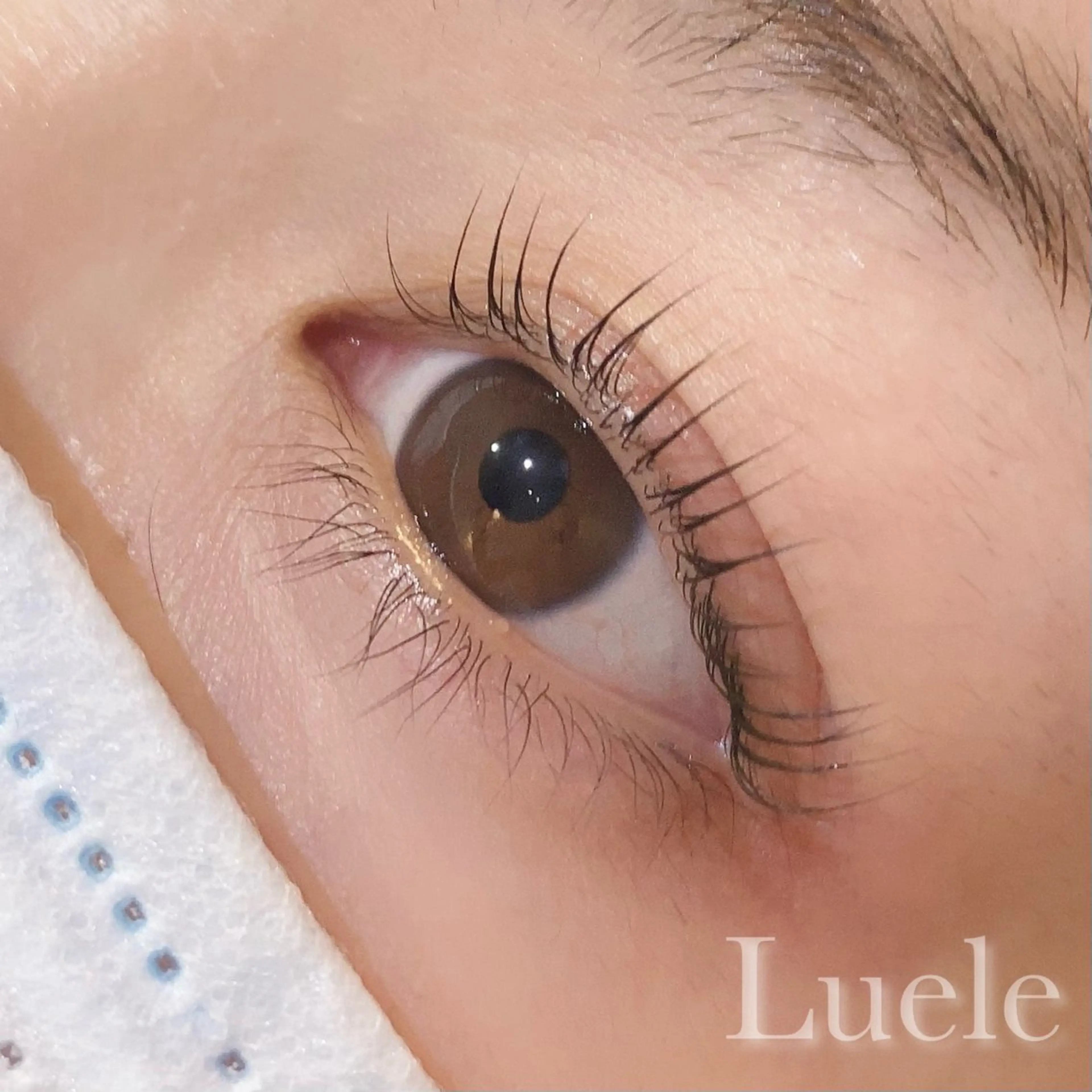 マツエク・マツパ Luele 立川のマツエク・マツパデザイン