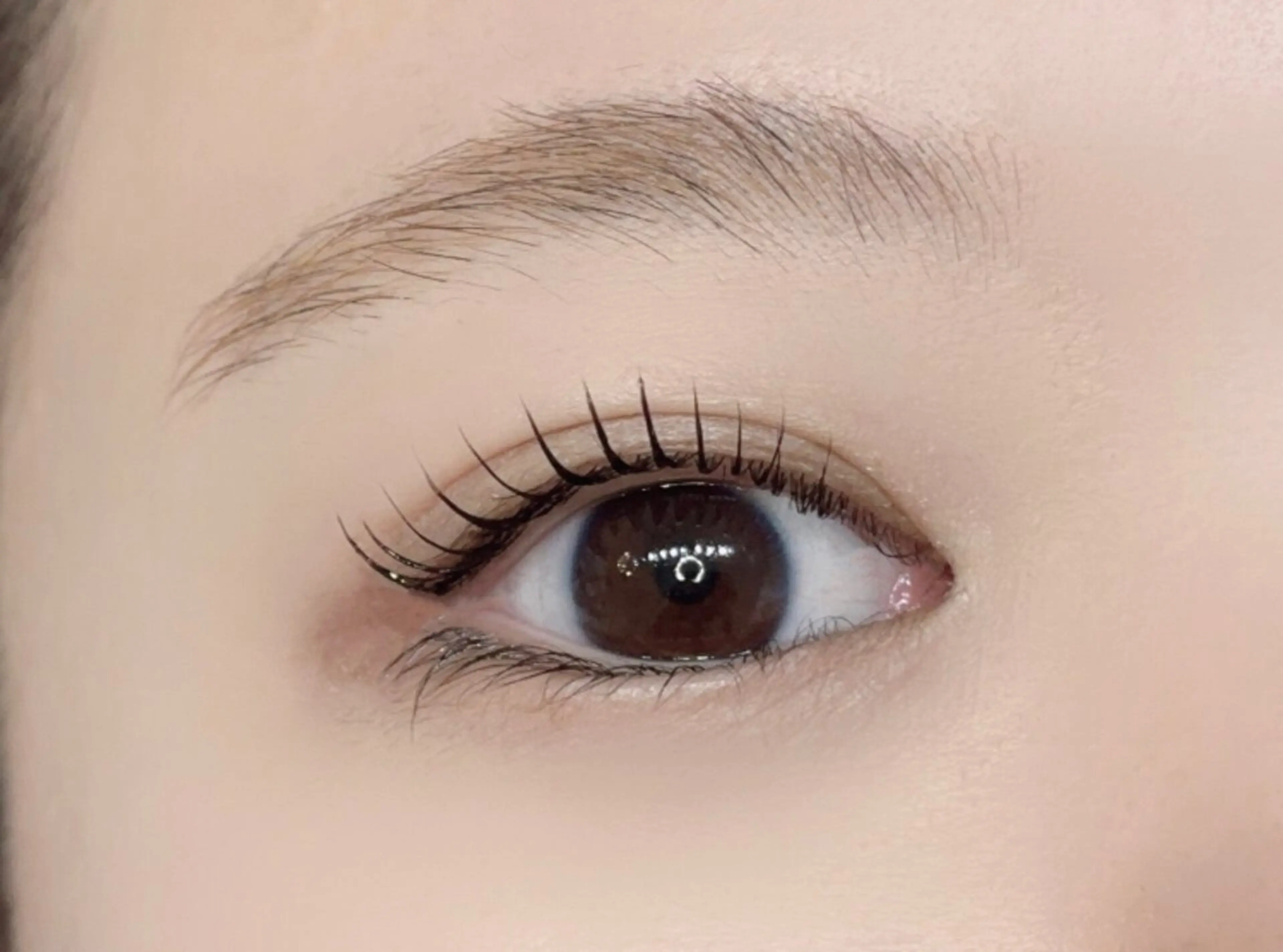 マツエク・マツパ マツパ 🌹ブリランテ🌹 大人気店のマツエク・マツパデザイン