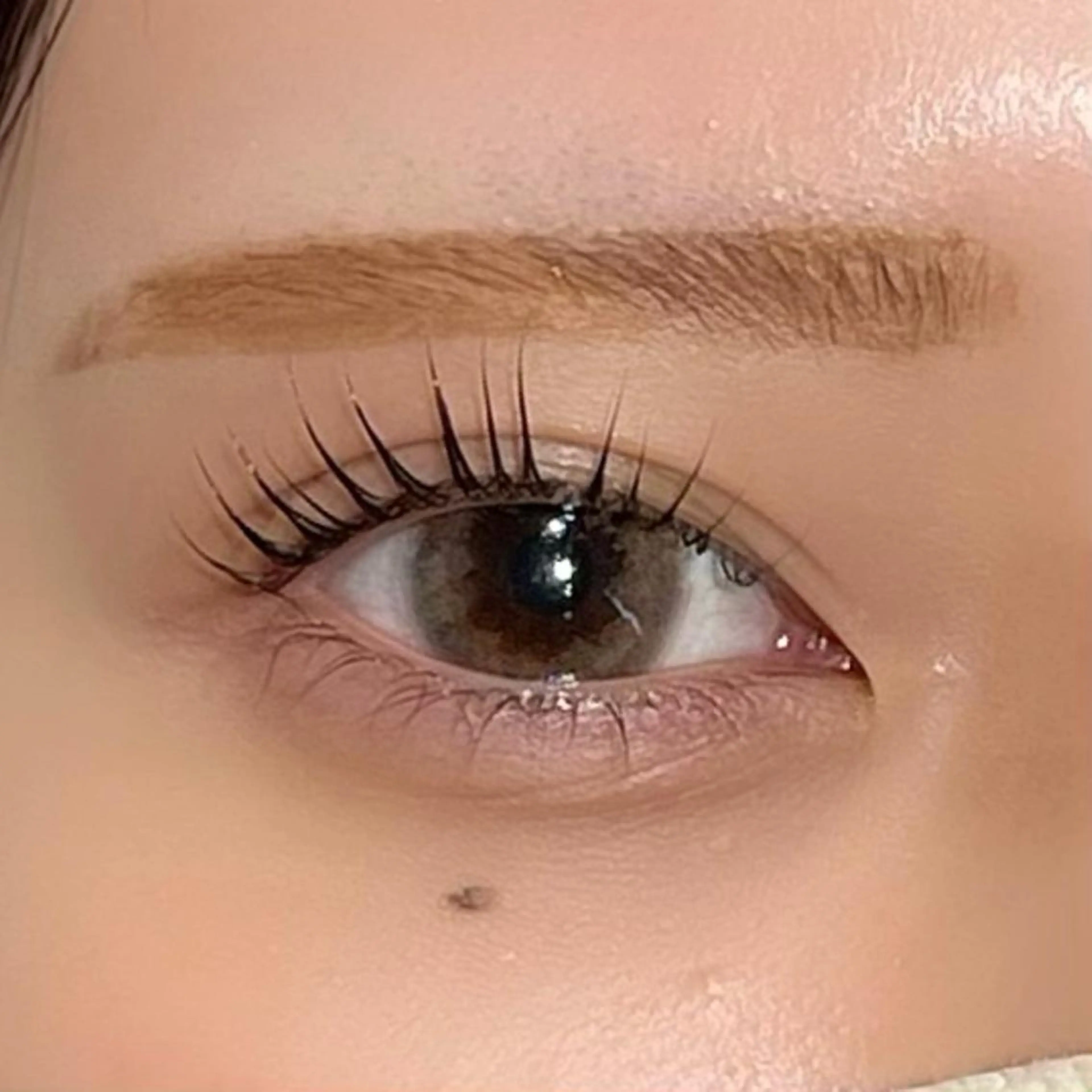 【リピーター様限定】次世代まつ毛パーマ👀パリジェンヌラッシュ(ケラチントリートメント付き♡)の写真