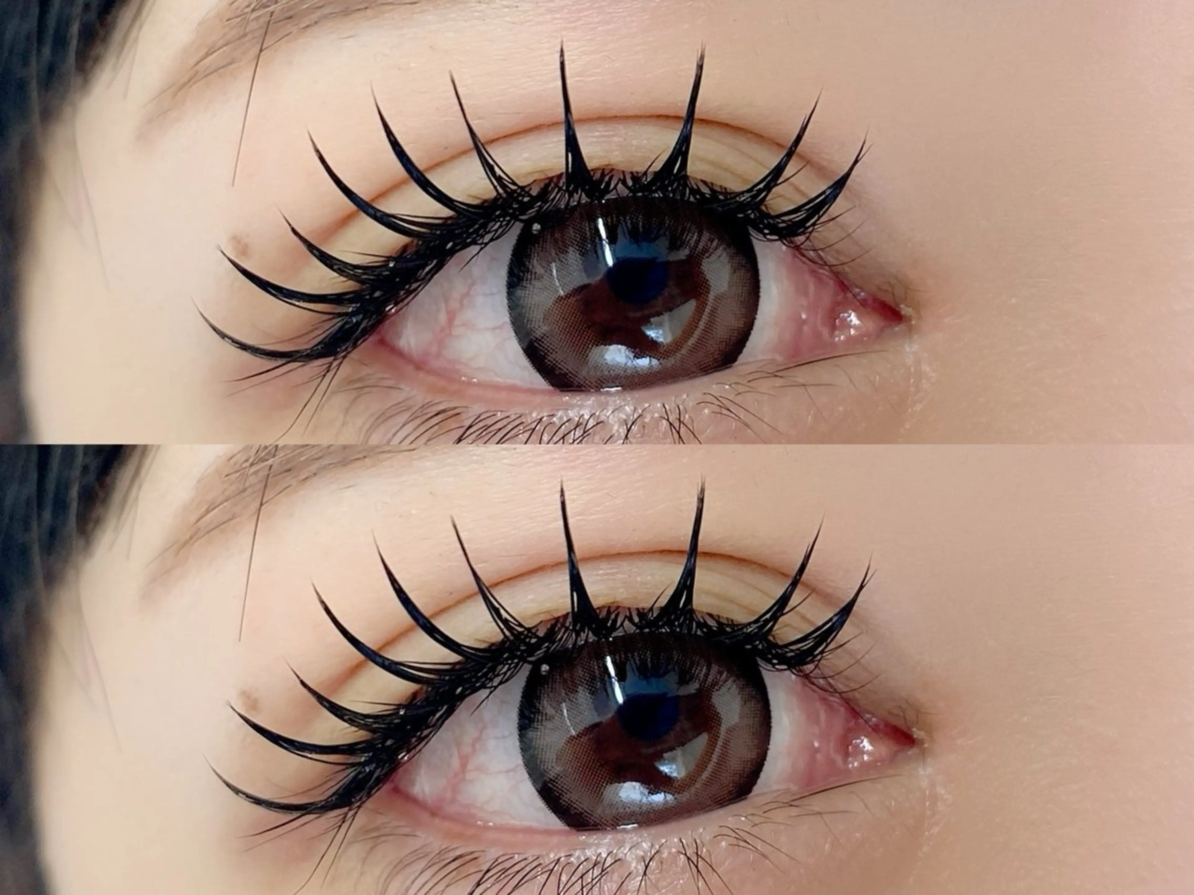 【立ち上げ×高持続×濃さ】今、SNSで話題の"Ｌカール"ダブルフラット80束の写真