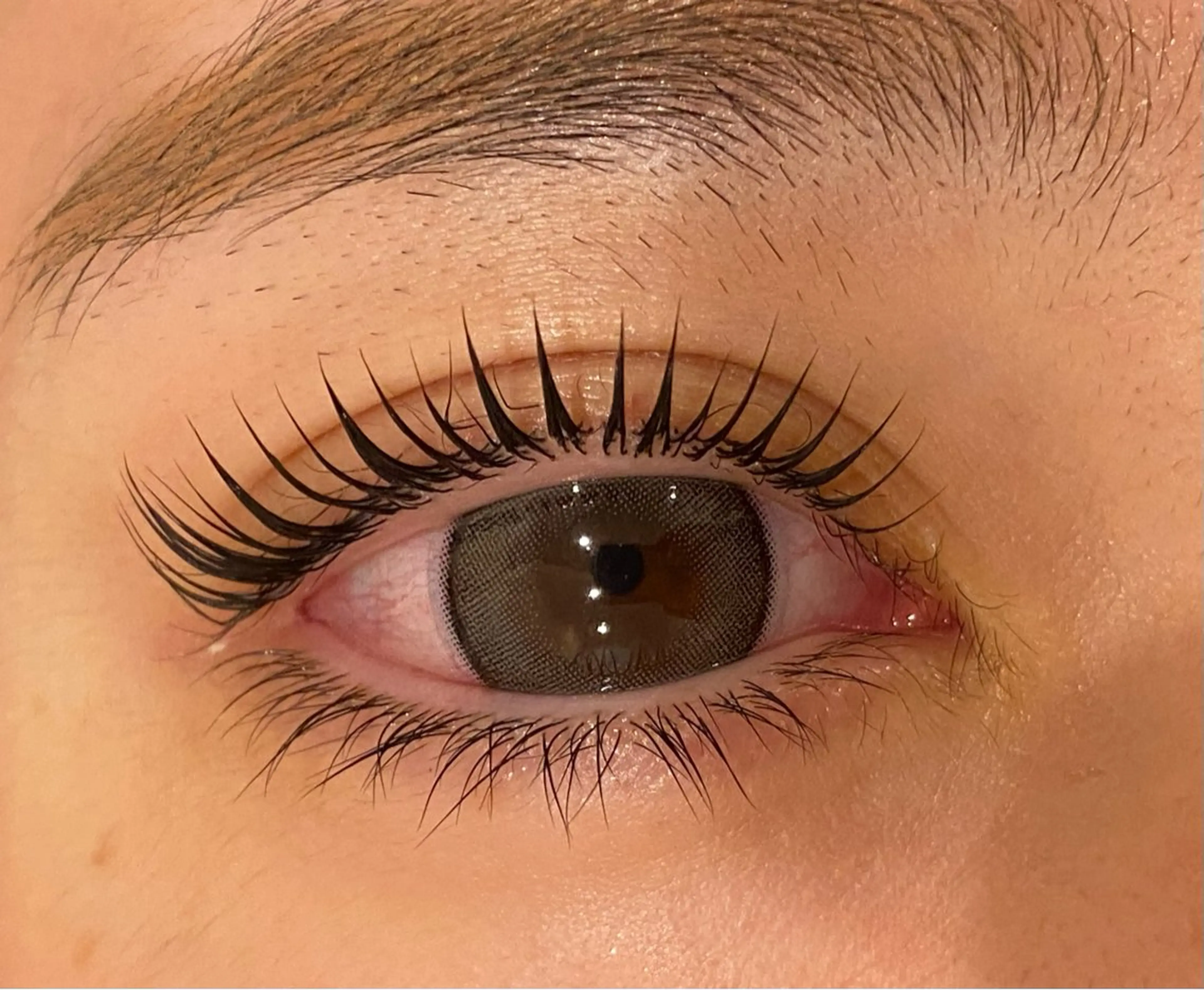 マツエク・マツパ Daisy lash 京橋店堀井のマツエク・マツパデザイン