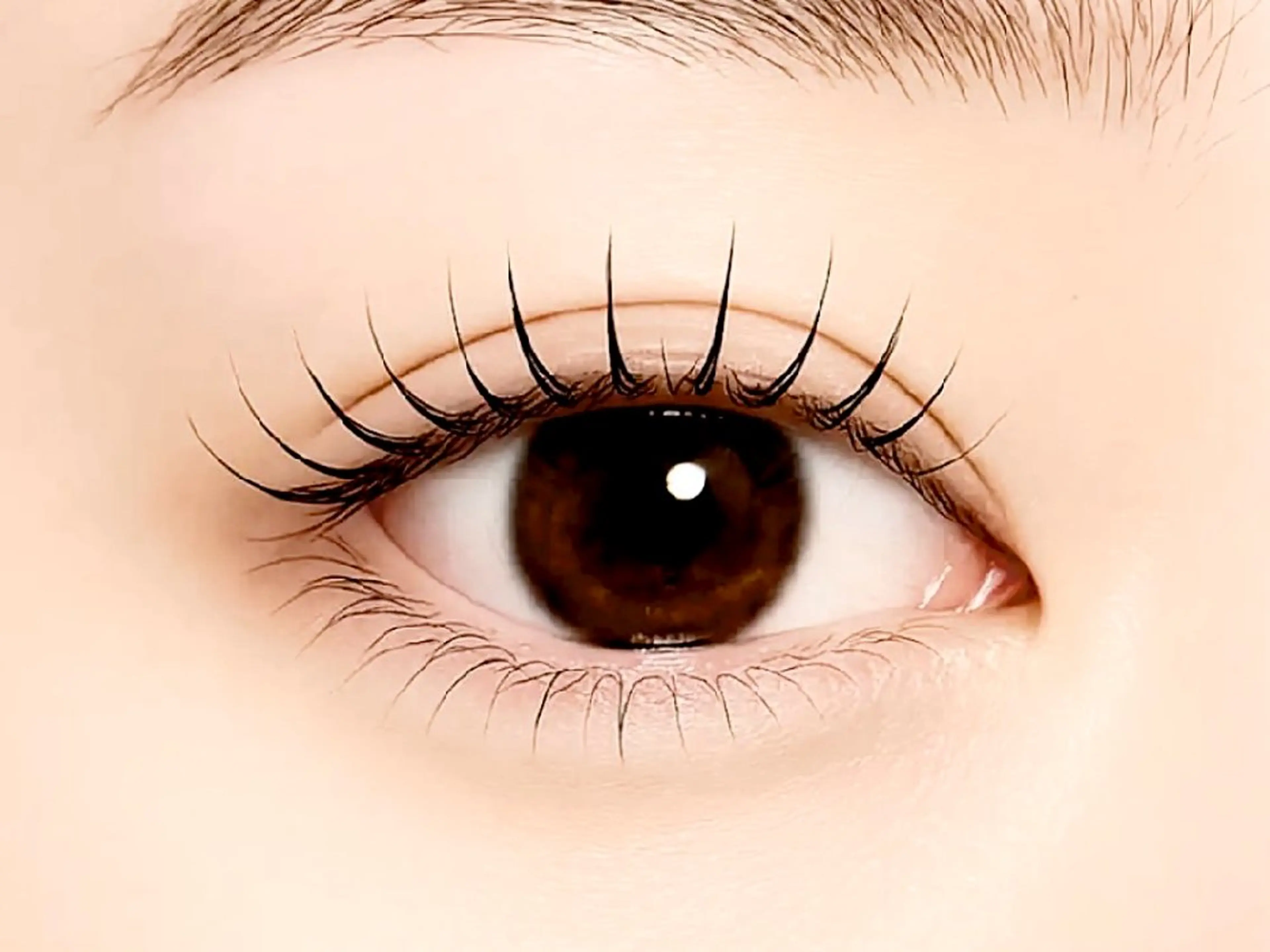 💙上下まつ毛パーマ💙トリートメント配合パーマなので艶々パッチリまつ毛🫧の写真