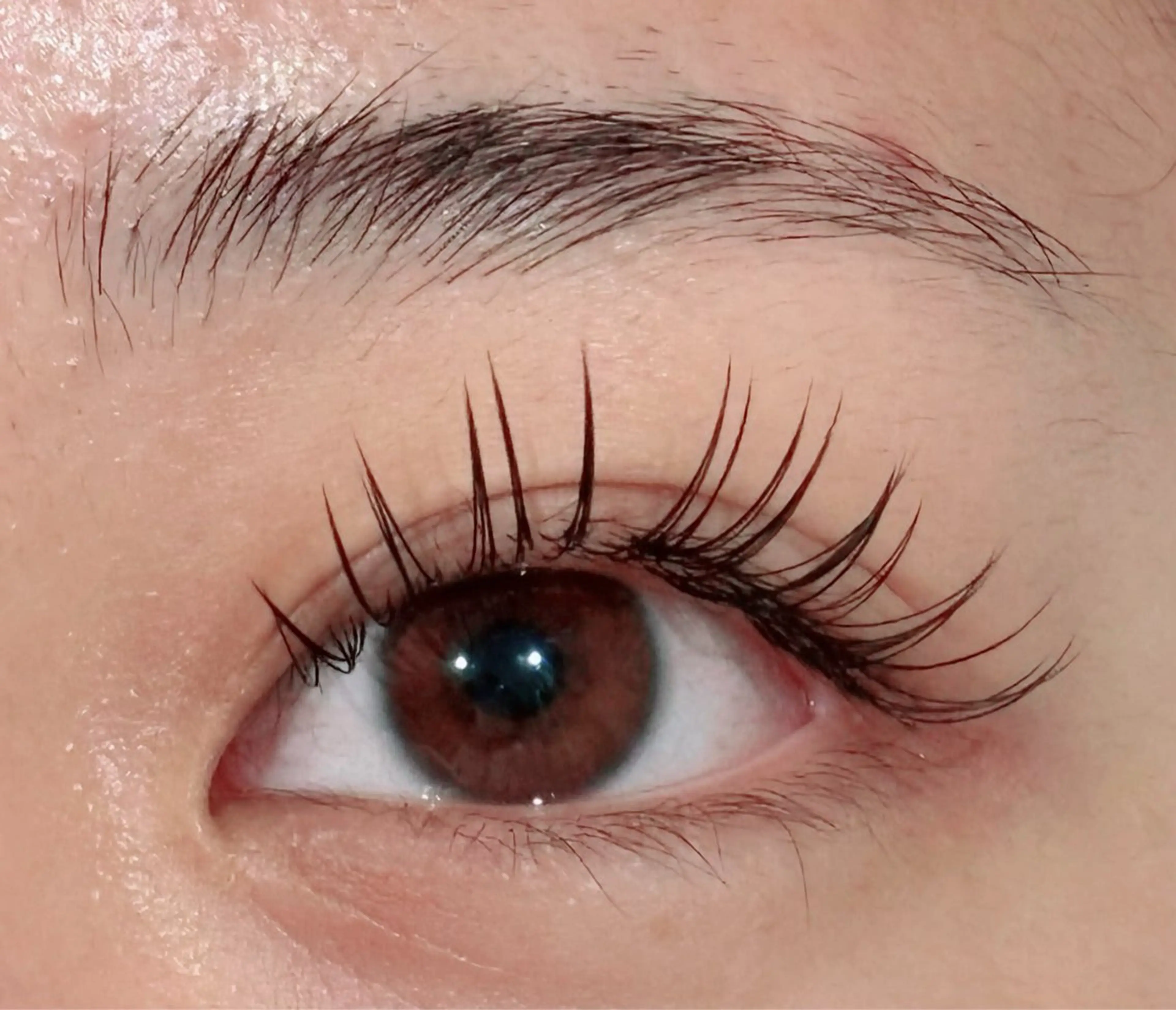 《初回オフ無料》フラットラッシュ100本の写真