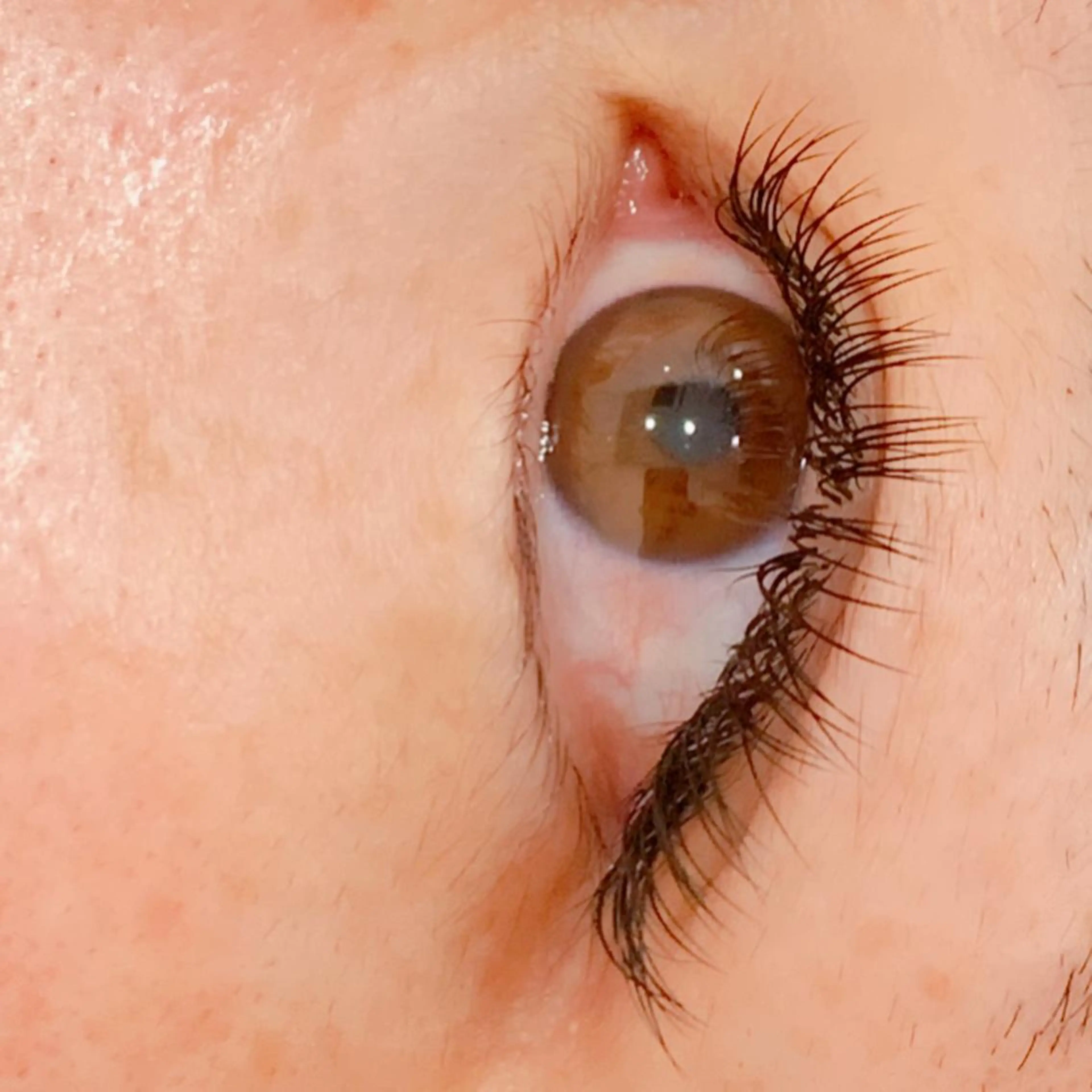 マツエク・マツパ 付け放題 ステラマリス 梅田のマツエク・マツパデザイン