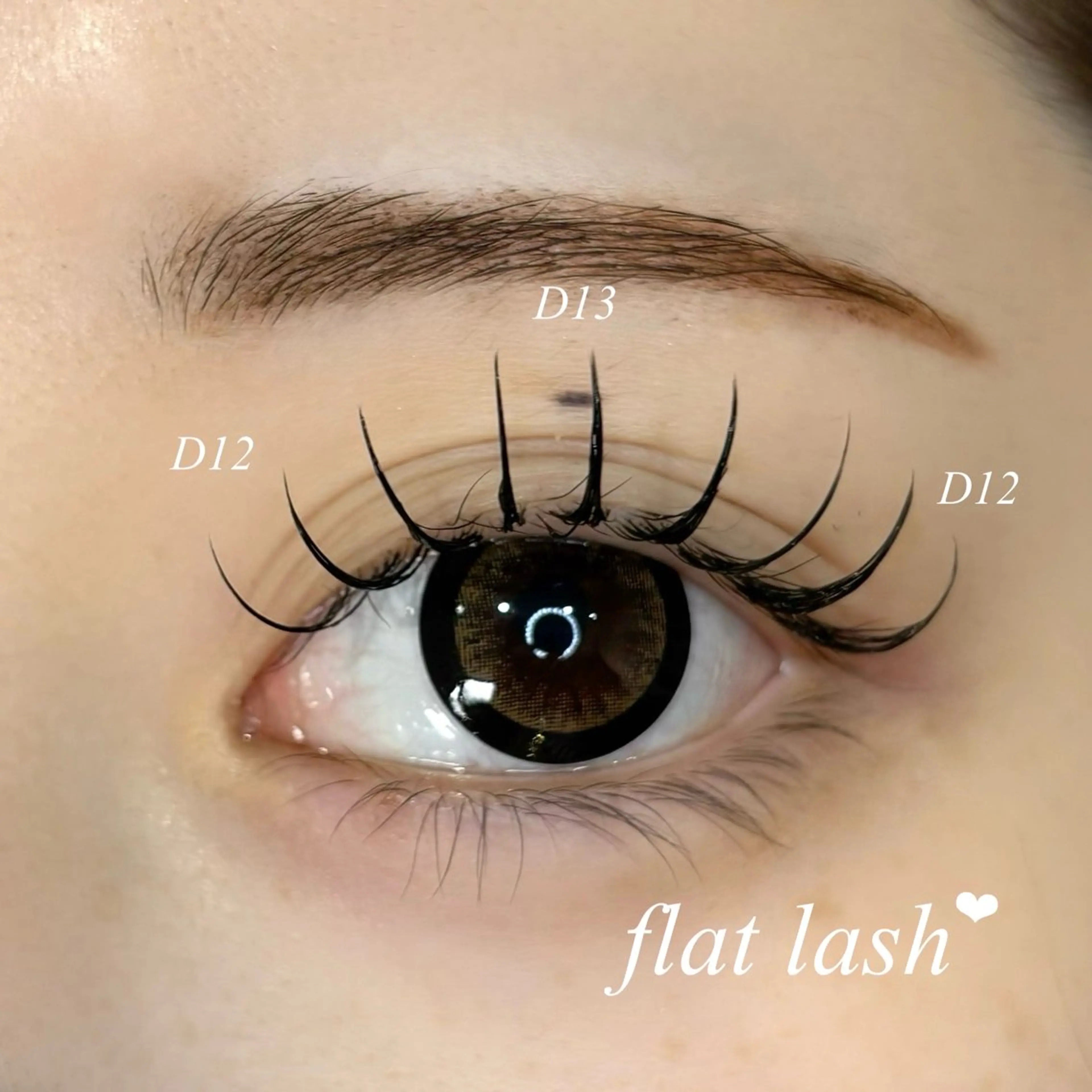 《 フラットラッシュ80本 🎵♡ 》の写真